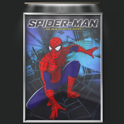 Spider Man The New Animated Series (2003)