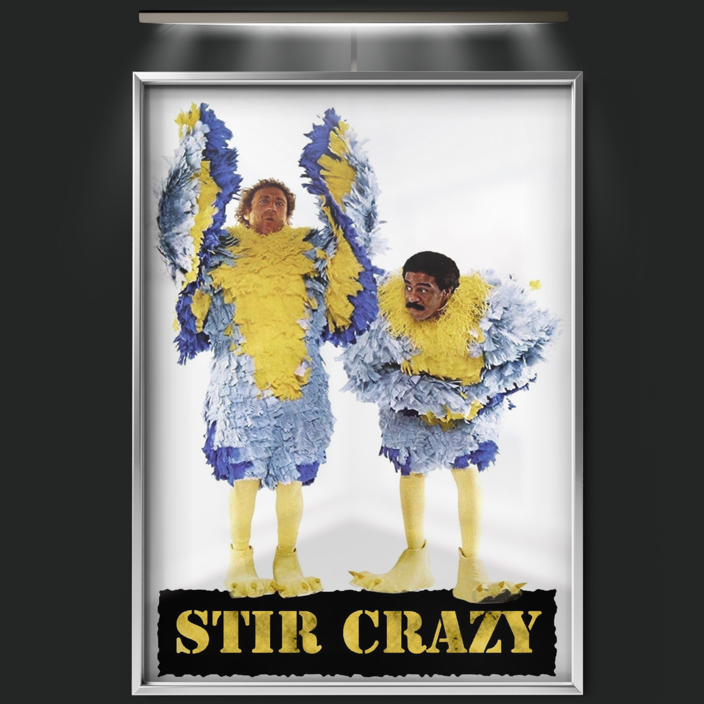 Stir Crazy (1980)