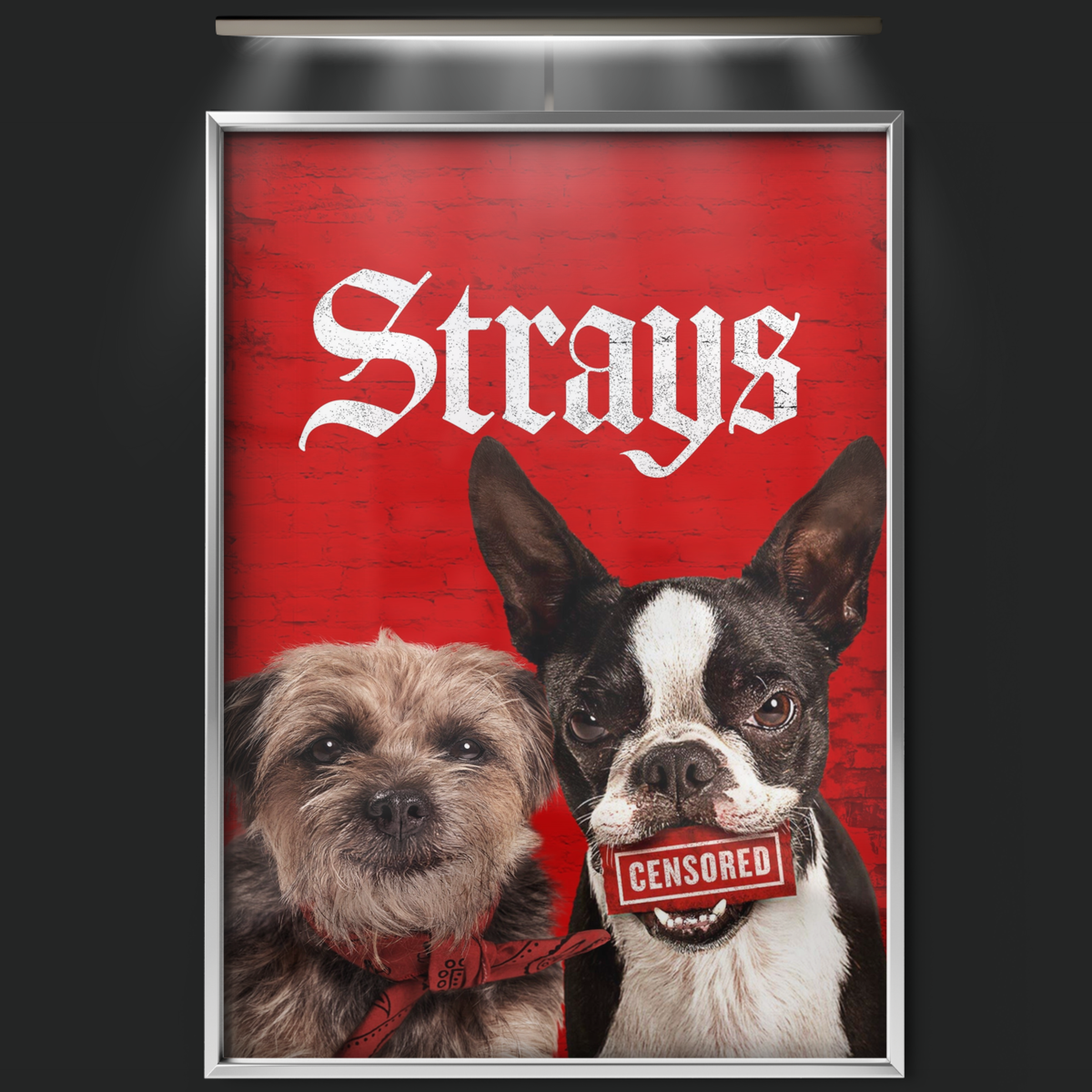 Strays (2023)