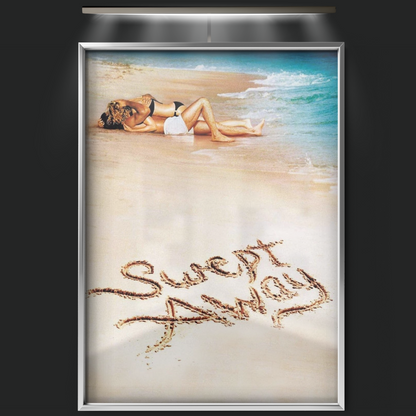 Swept Away (2002)