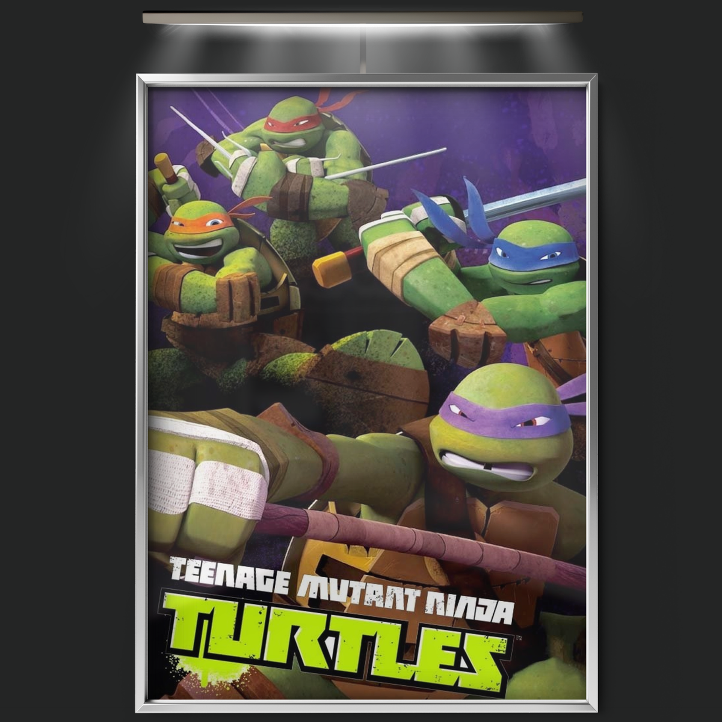 Teenage Mutant Ninja Turtles (2012)