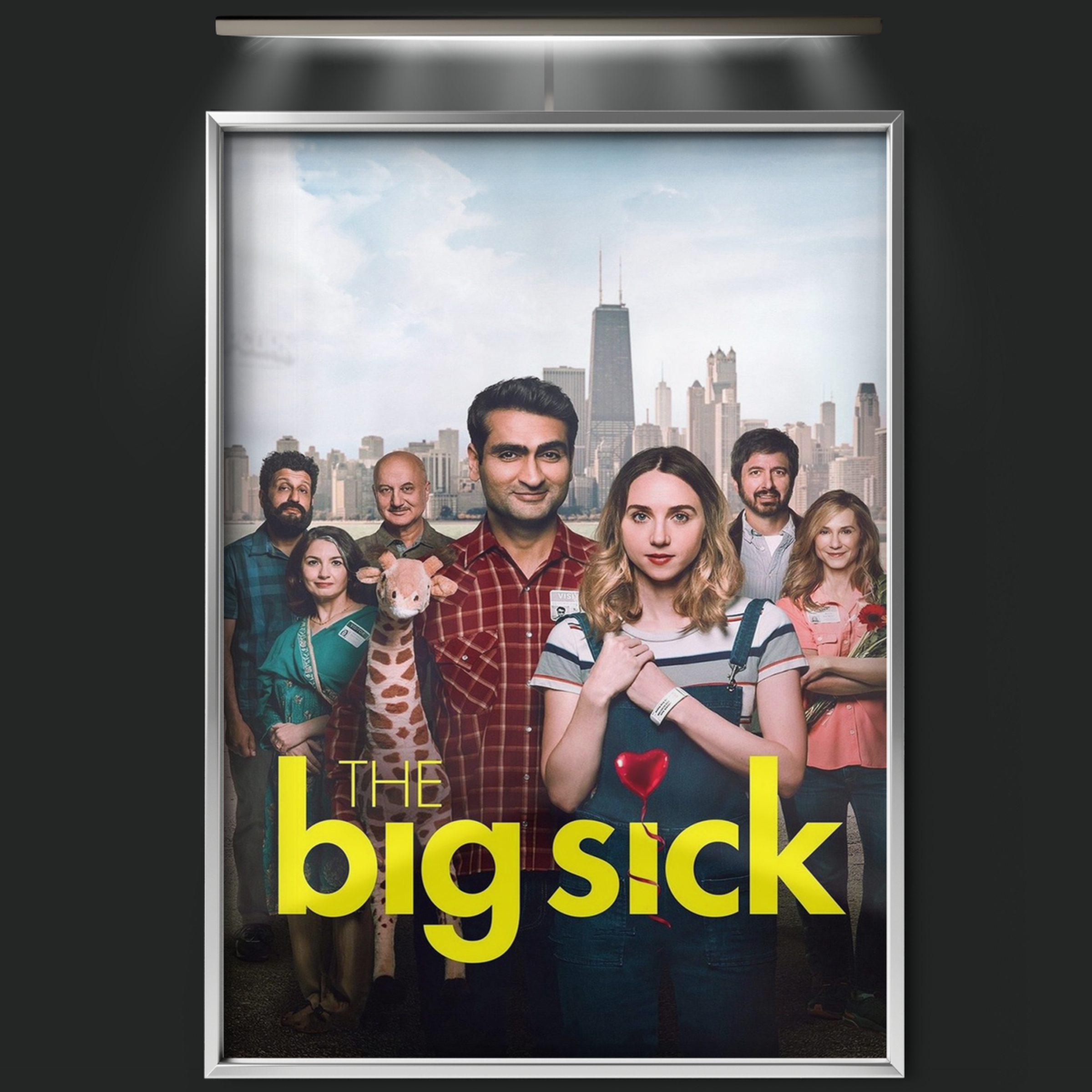 The Big Sick (2017)