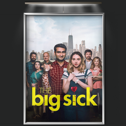 The Big Sick (2017)