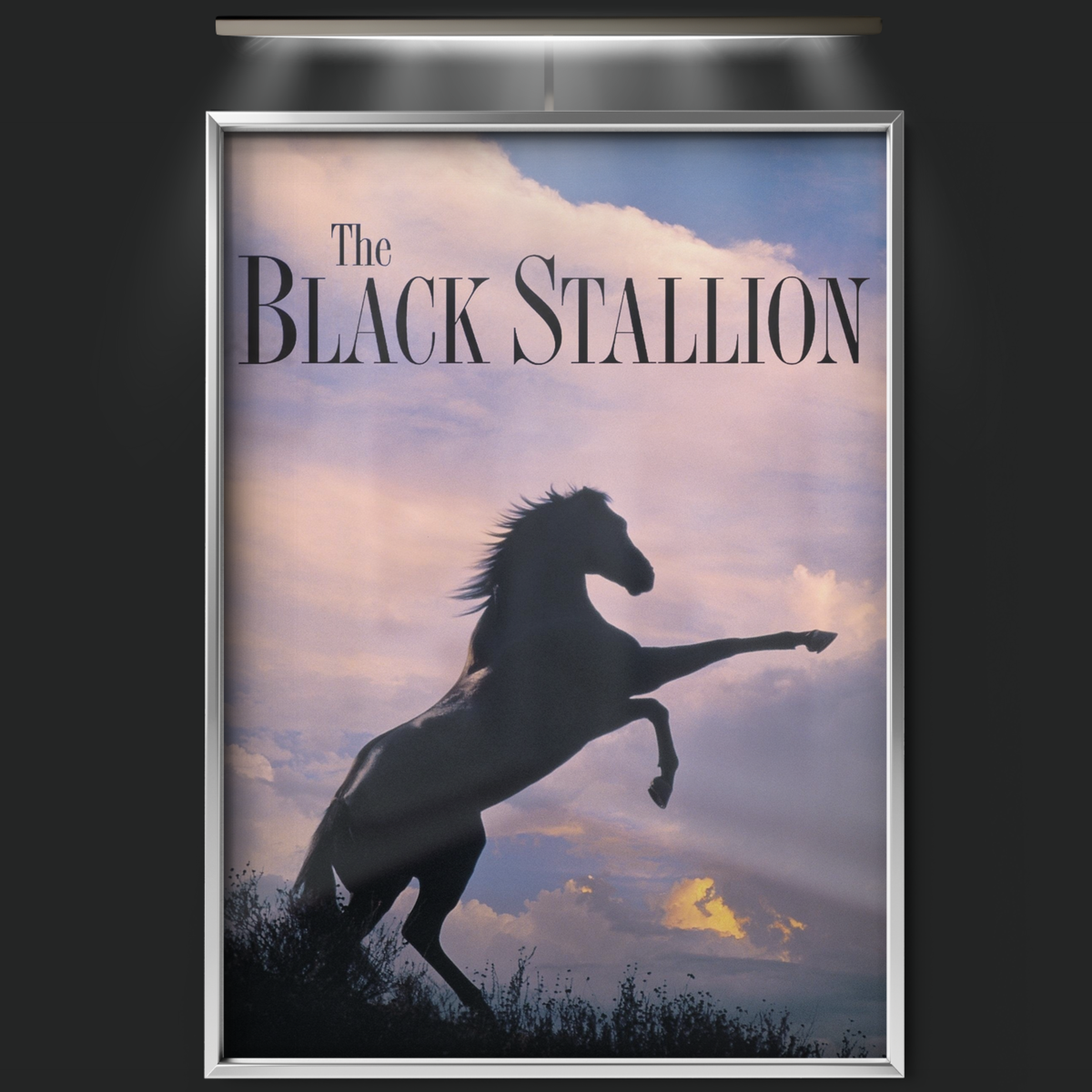 The Black Stallion (1979)