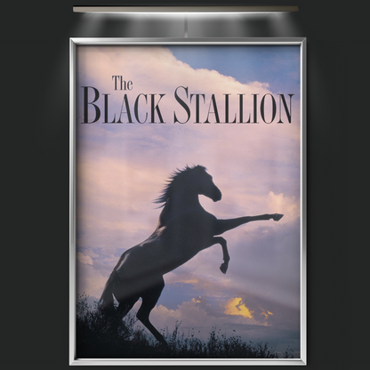 The Black Stallion (1979)