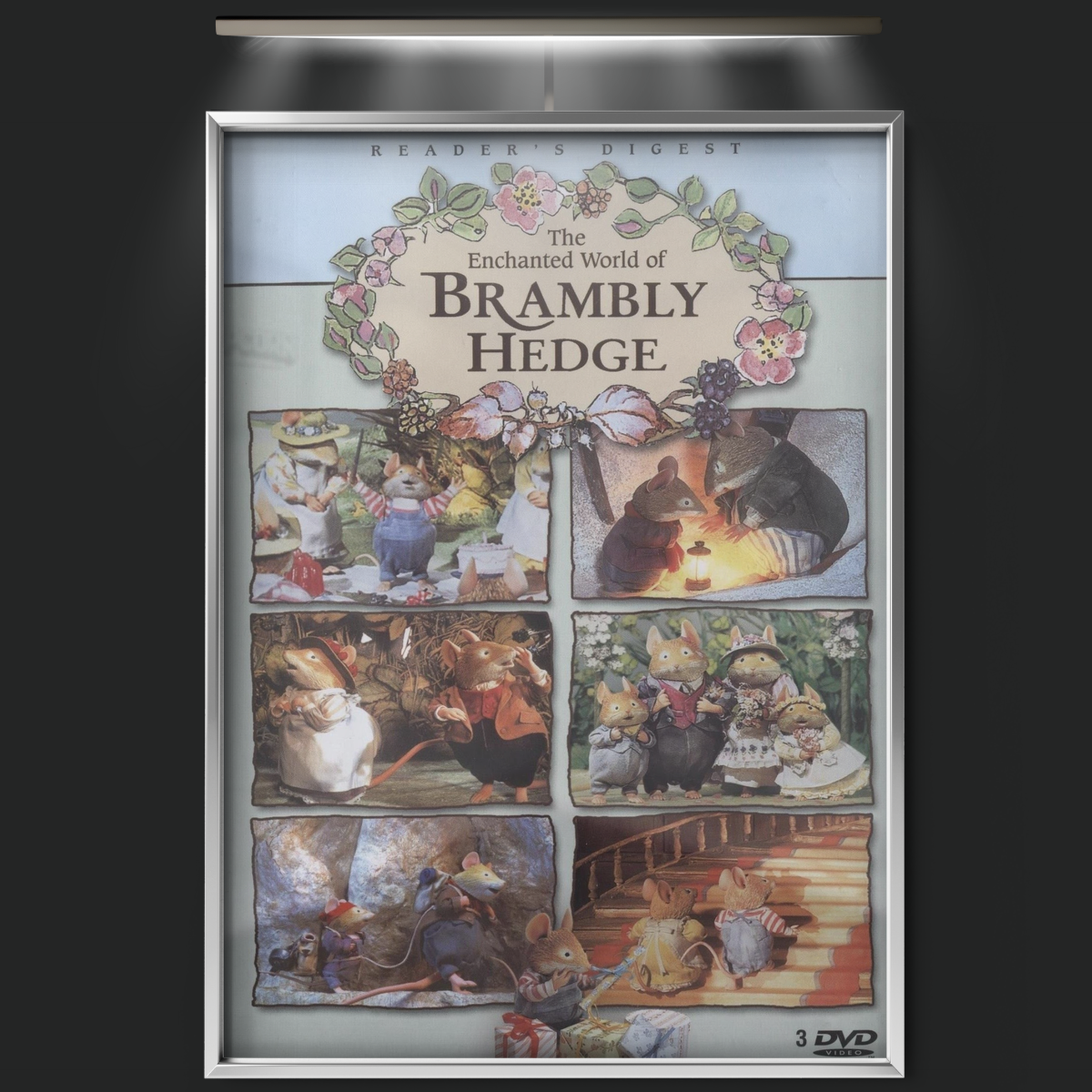The Enchanted World Of Brambly Hedge (1996)