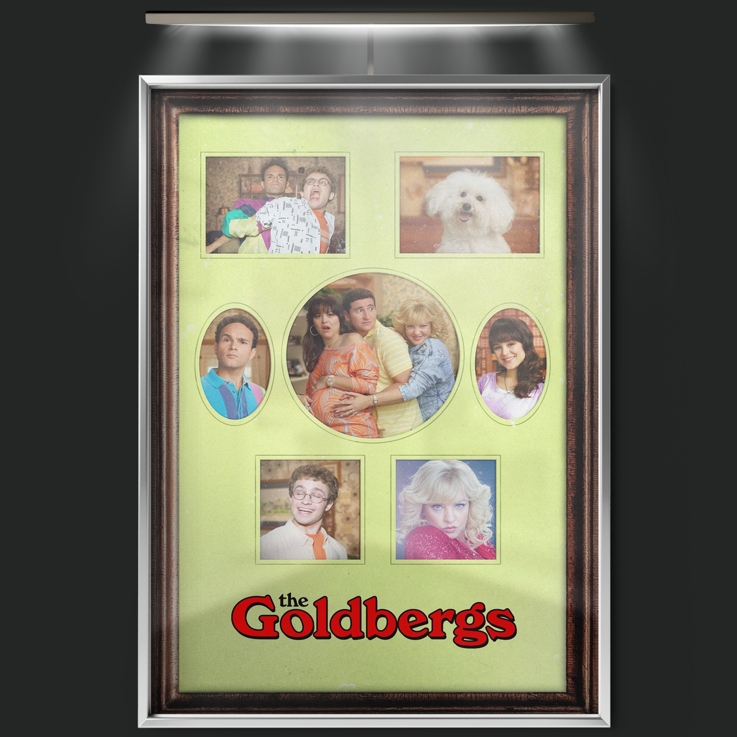 The Goldbergs (2013)