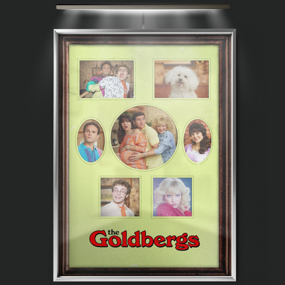 The Goldbergs (2013)