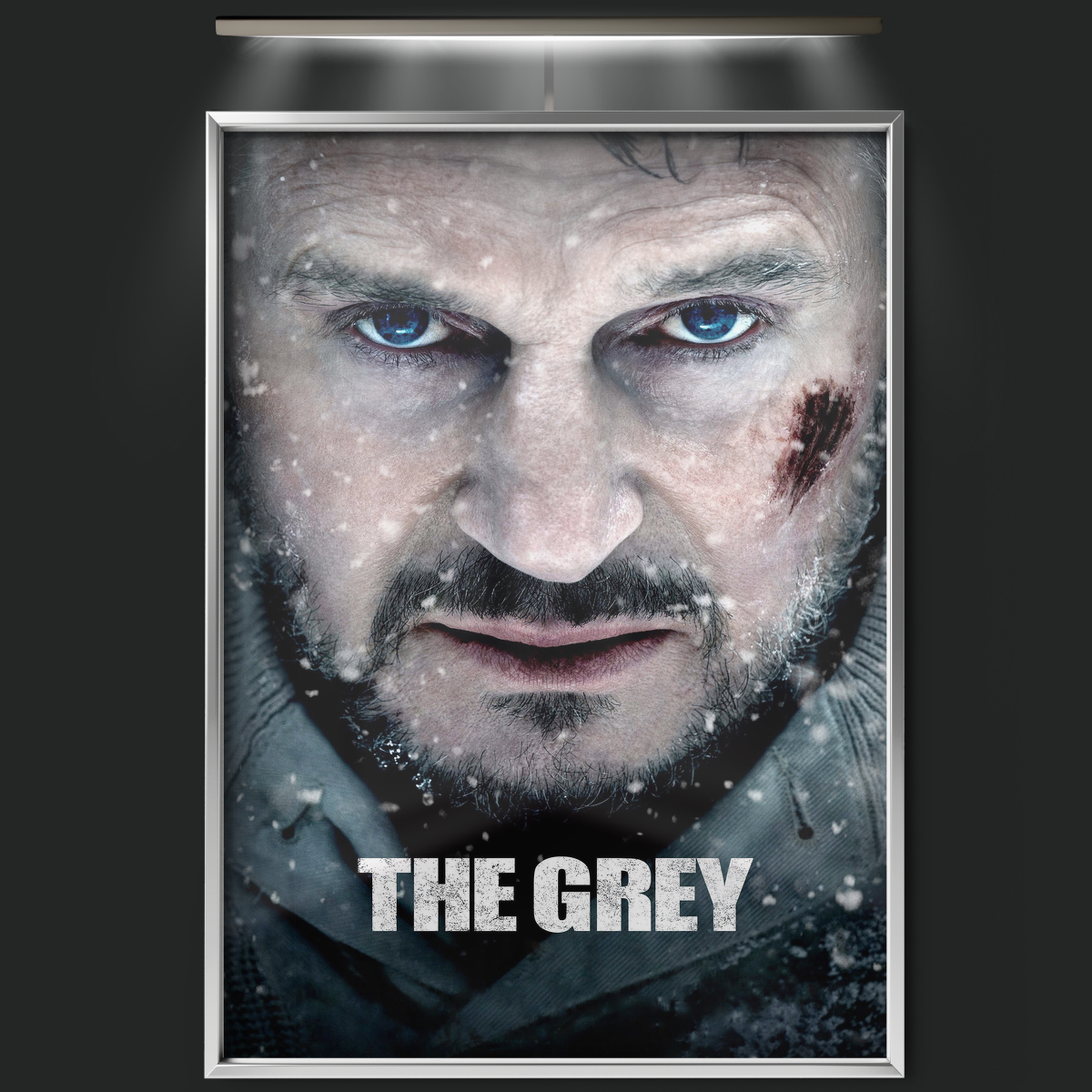 The Grey (2012)