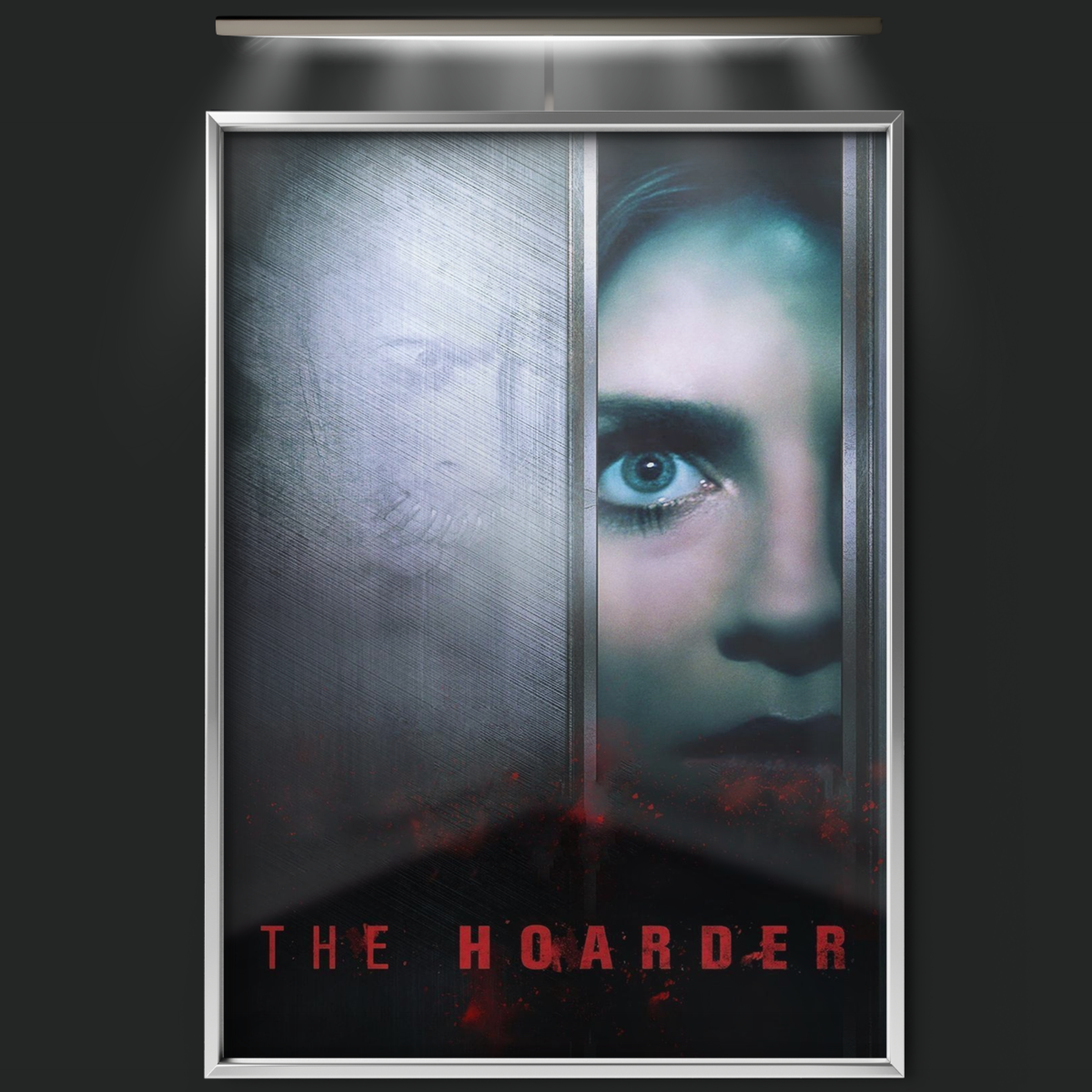 The Hoarder (2015)