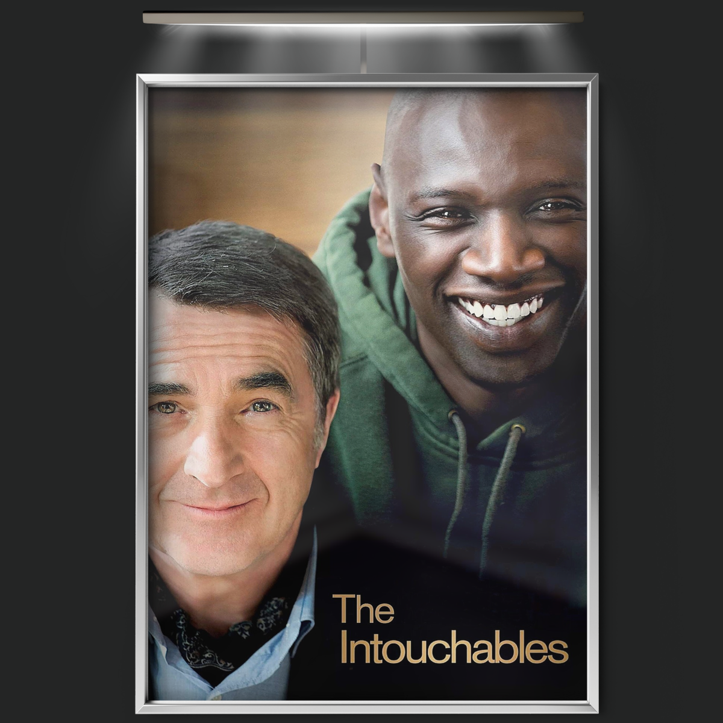 The Intouchables (2011)