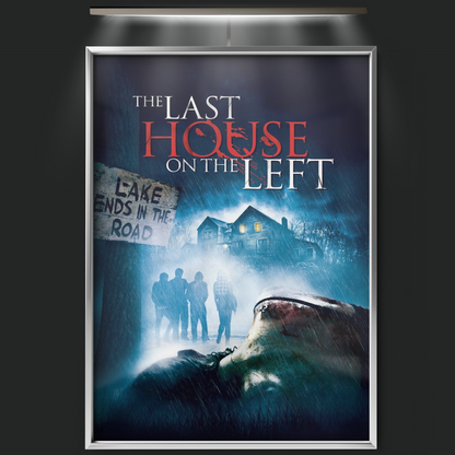 The Last House On The Left (2009)