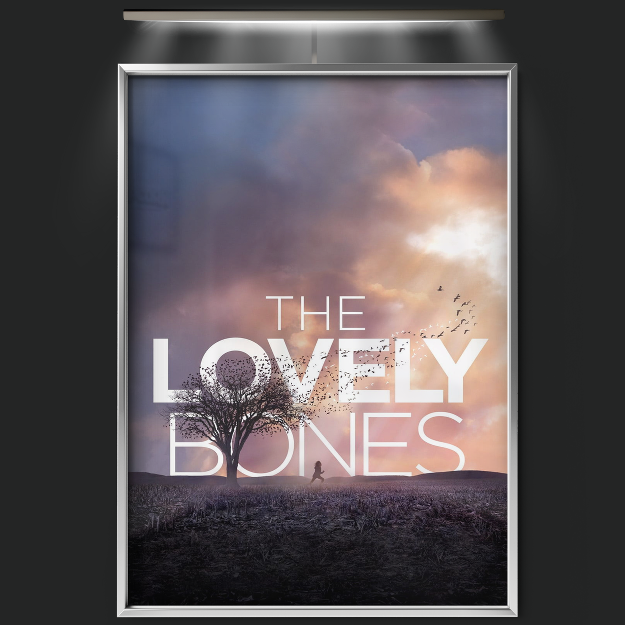 The Lovely Bones (2009)
