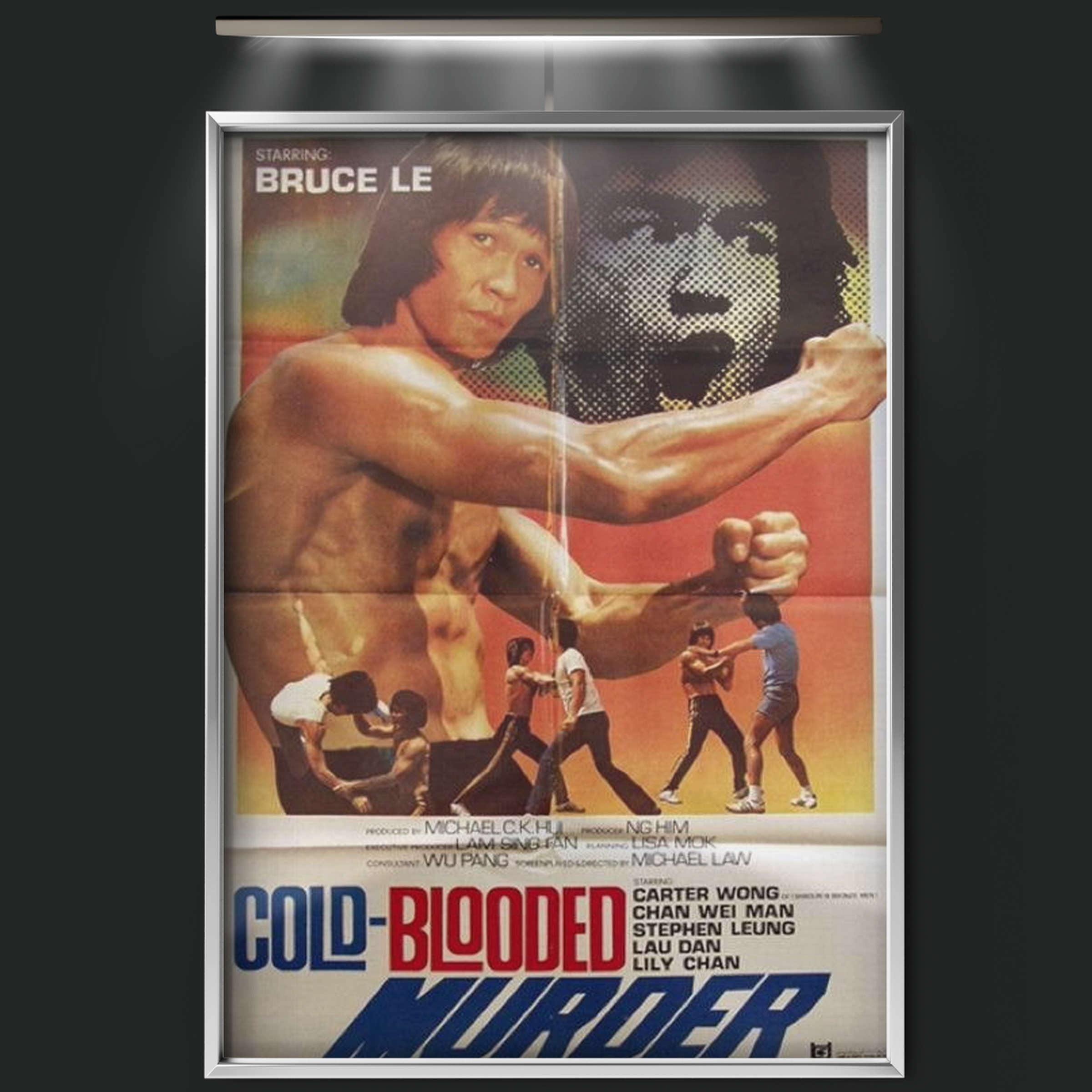 The Mad Cold Blooded Murder (1981)
