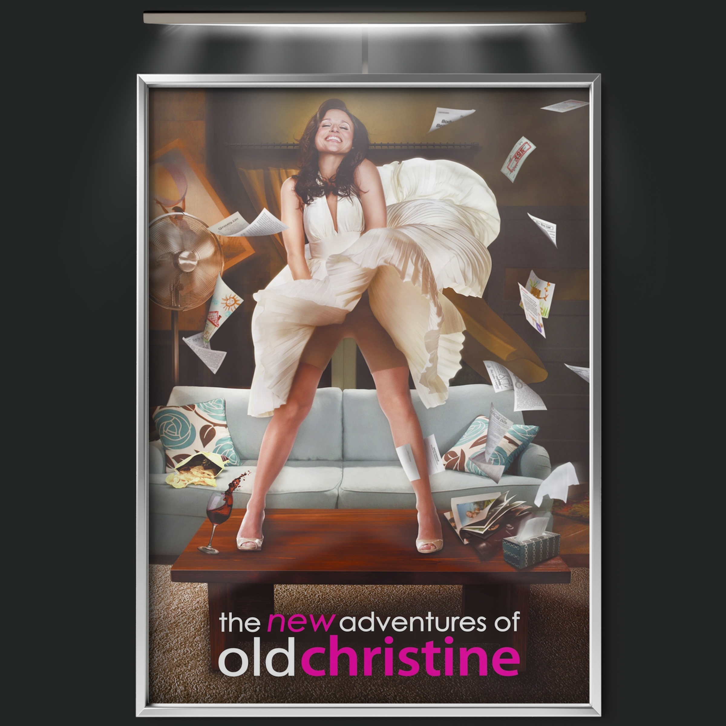 The New Adventures Of Old Christine (2006)