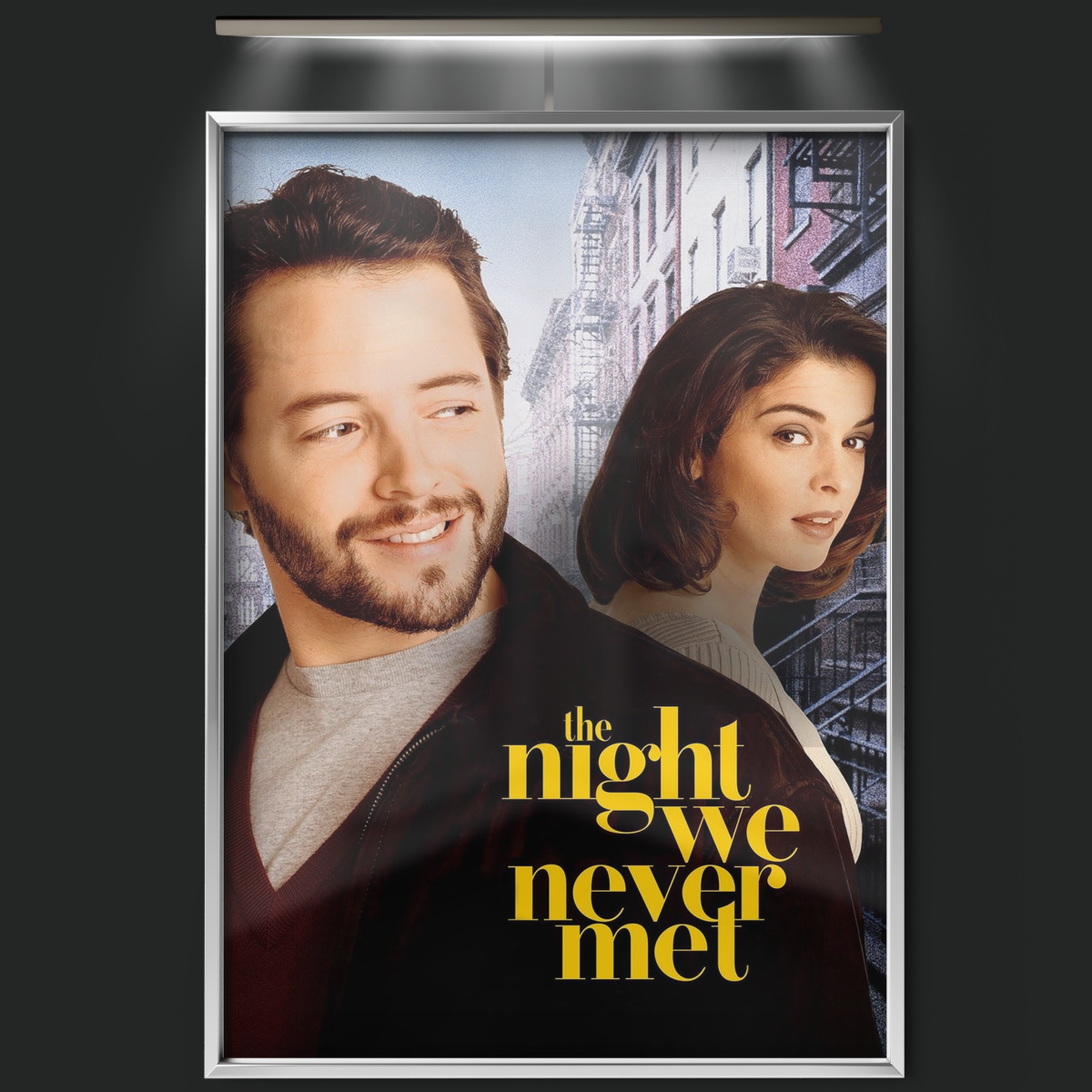 The Night We Never Met (1993)