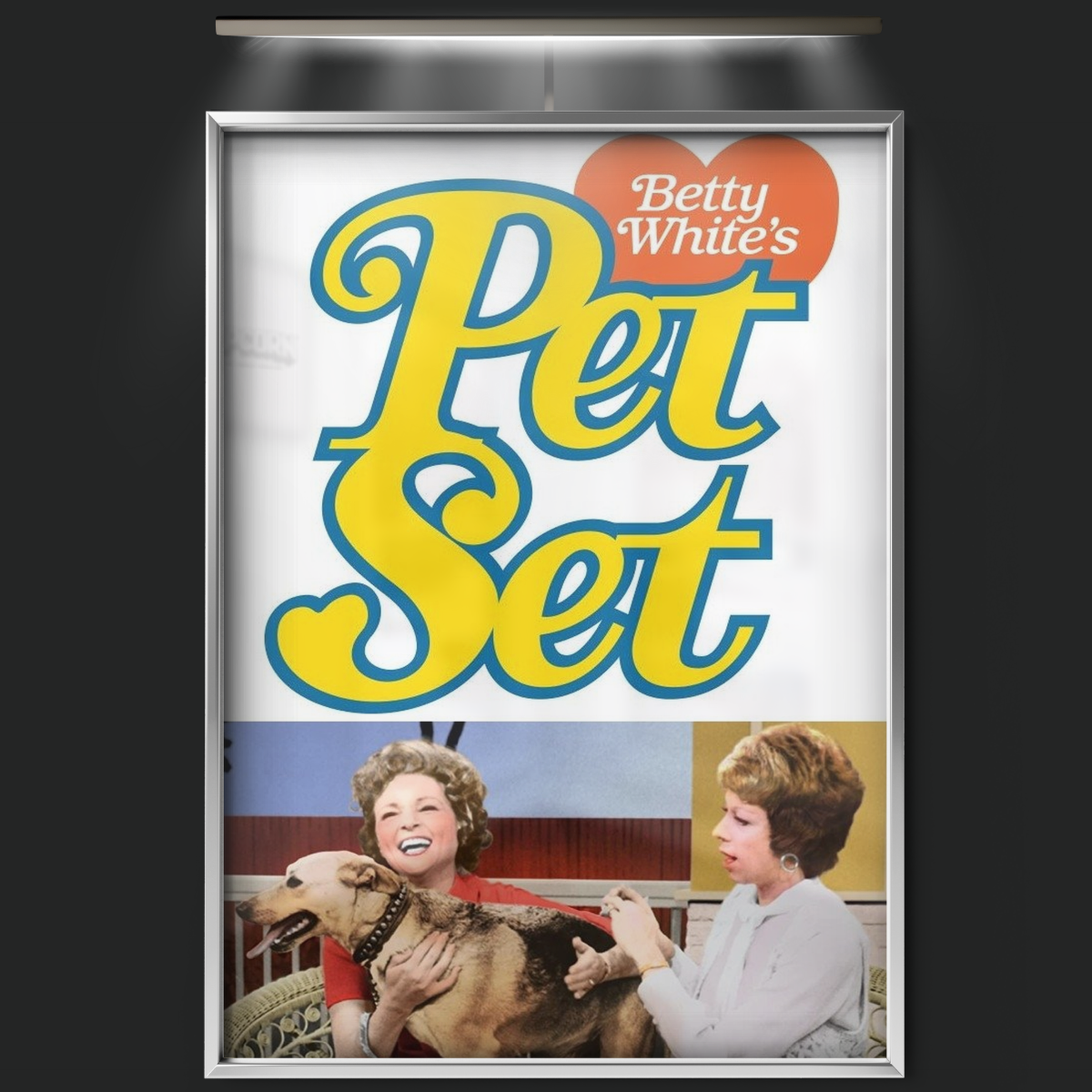 The Pet Set (1971)
