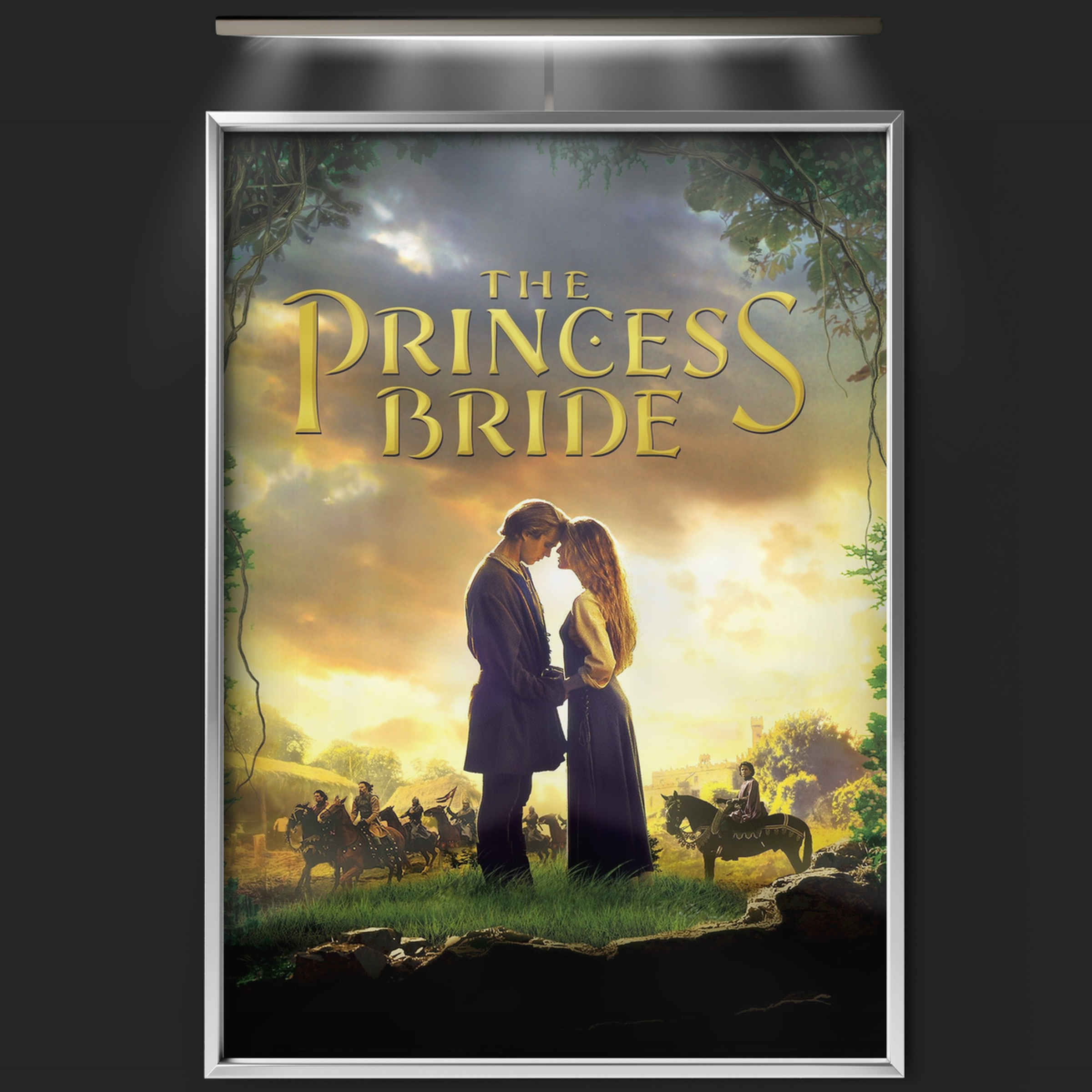 The Princess Bride (1987)