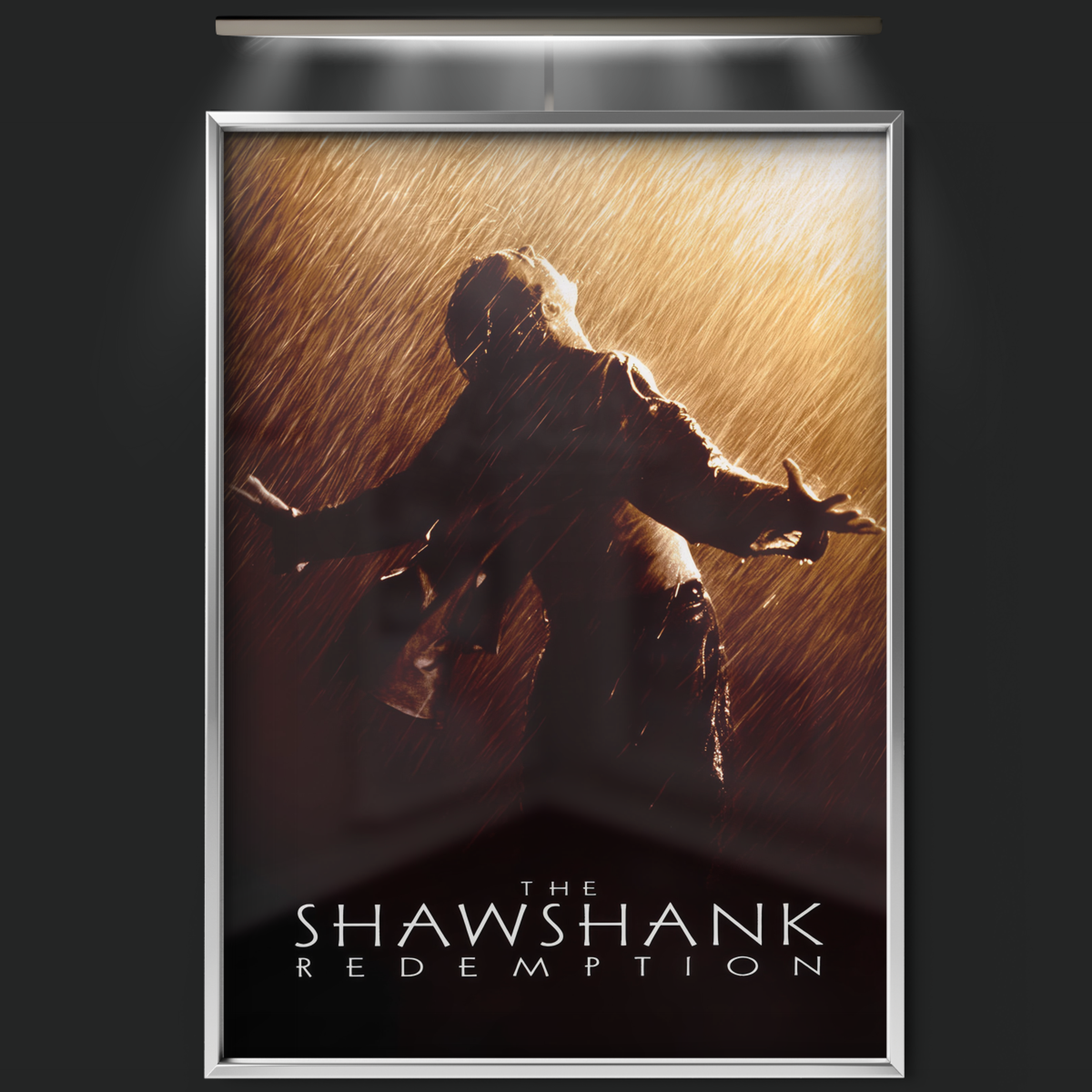 The Shawshank Redemption (1994)