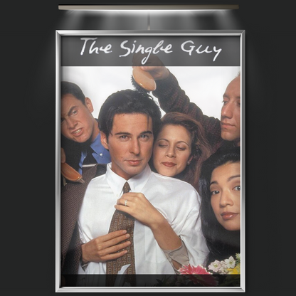The Single Guy (1995)