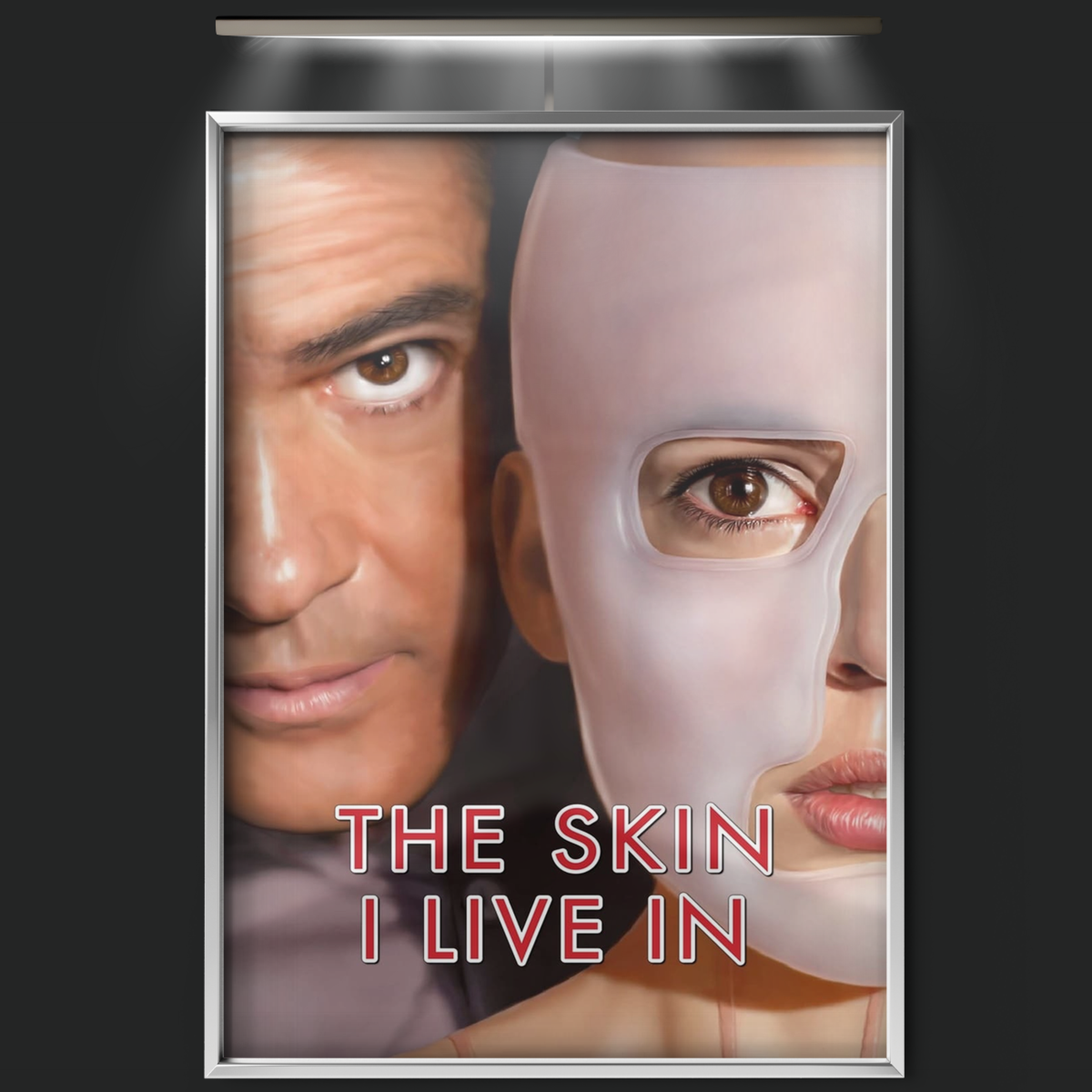 The Skin I Live In (2011)