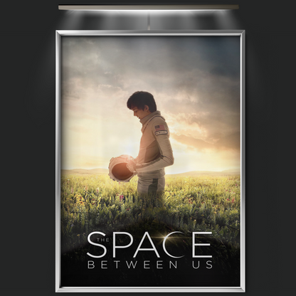 The Space Between Us (2017)
