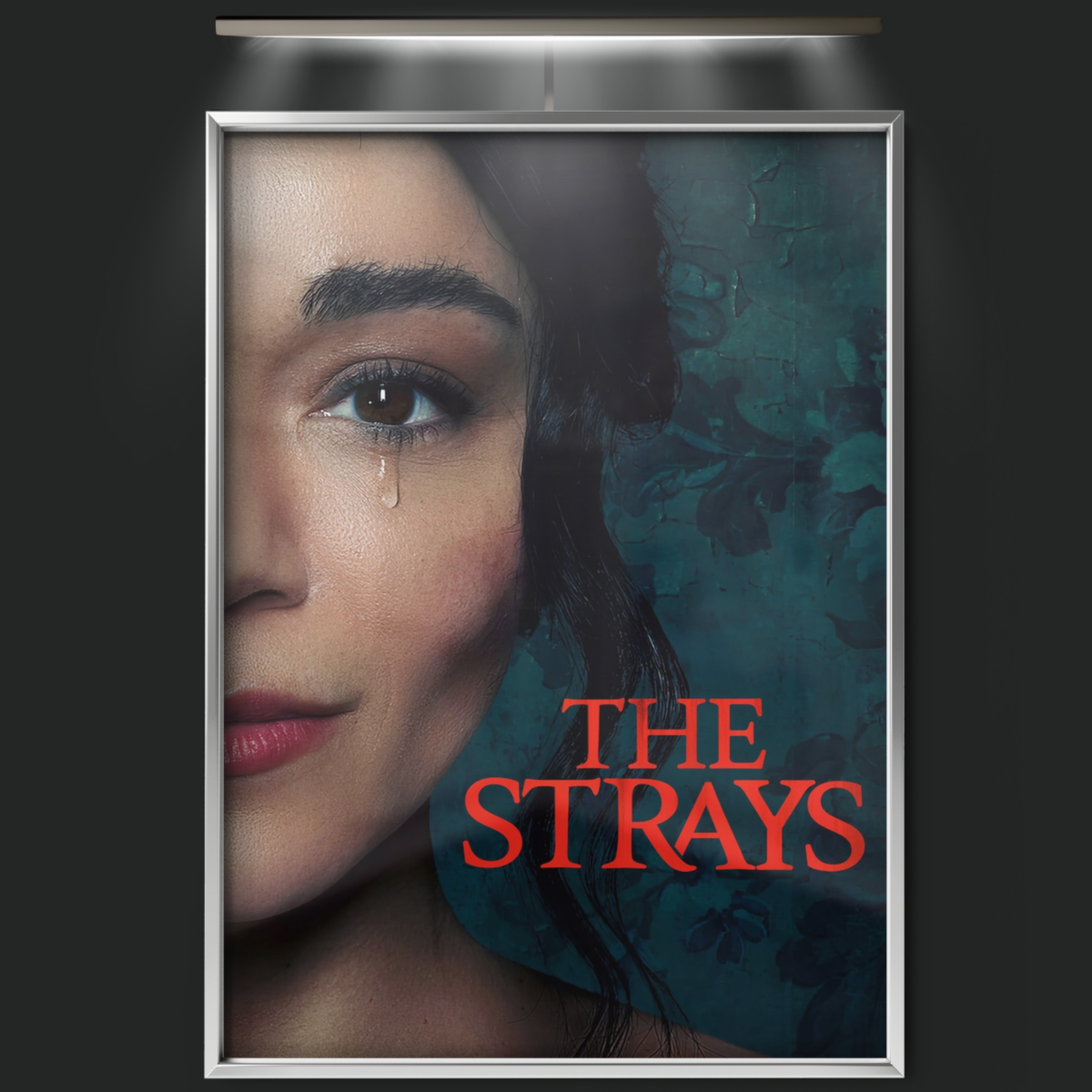 The Strays (2023)