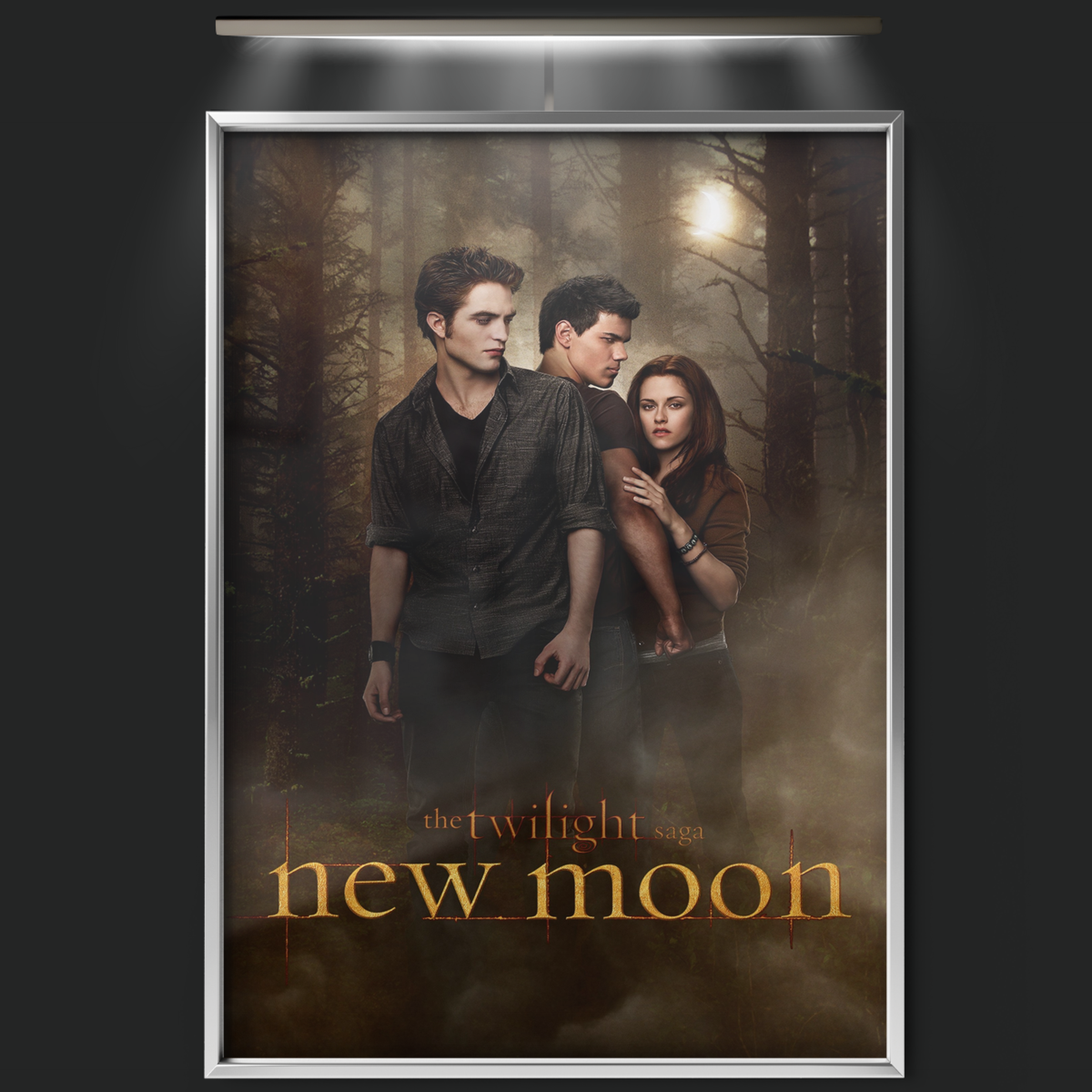 The Twilight Saga New Moon (2009)