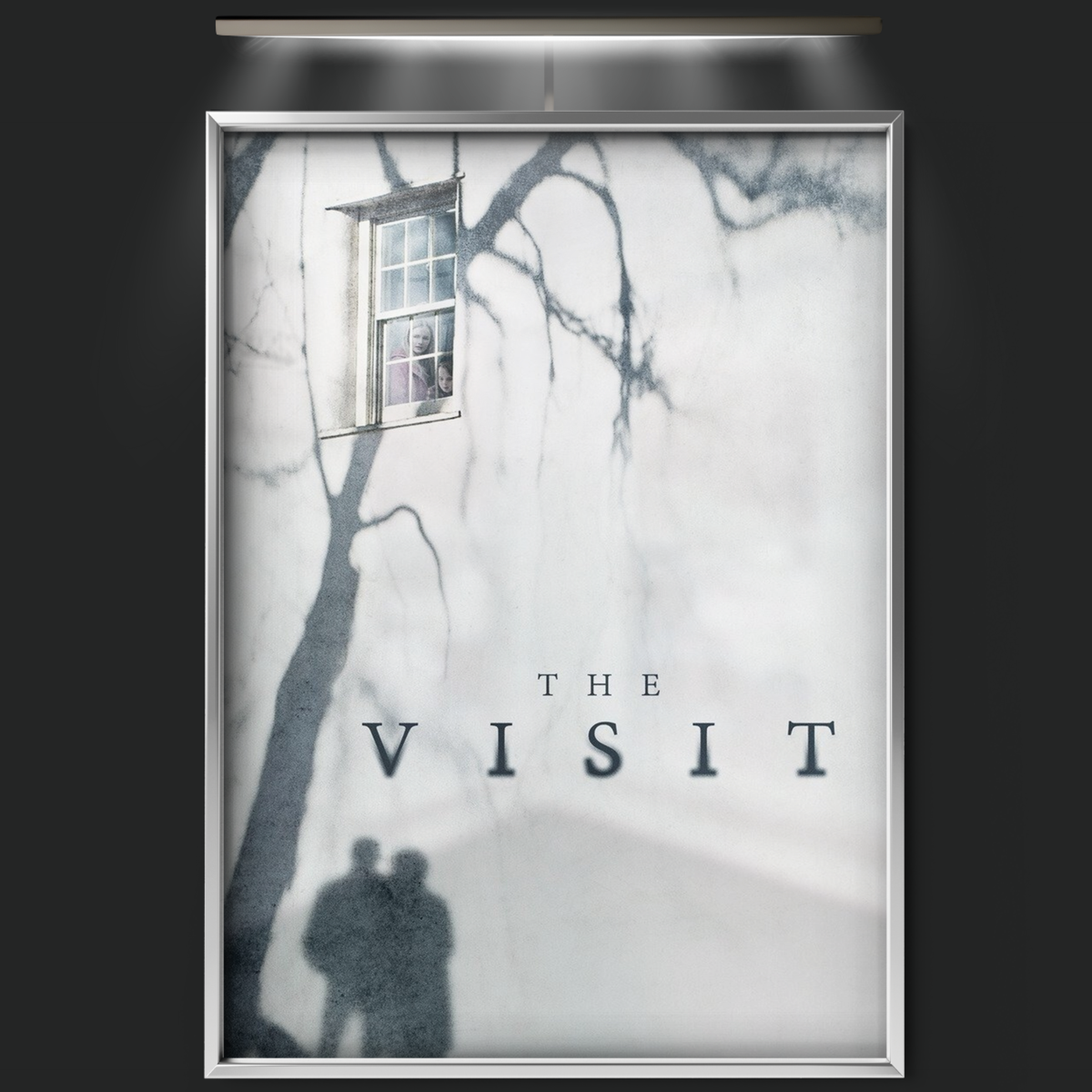 The Visit (2015)