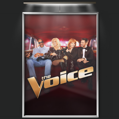 The Voice (2011)