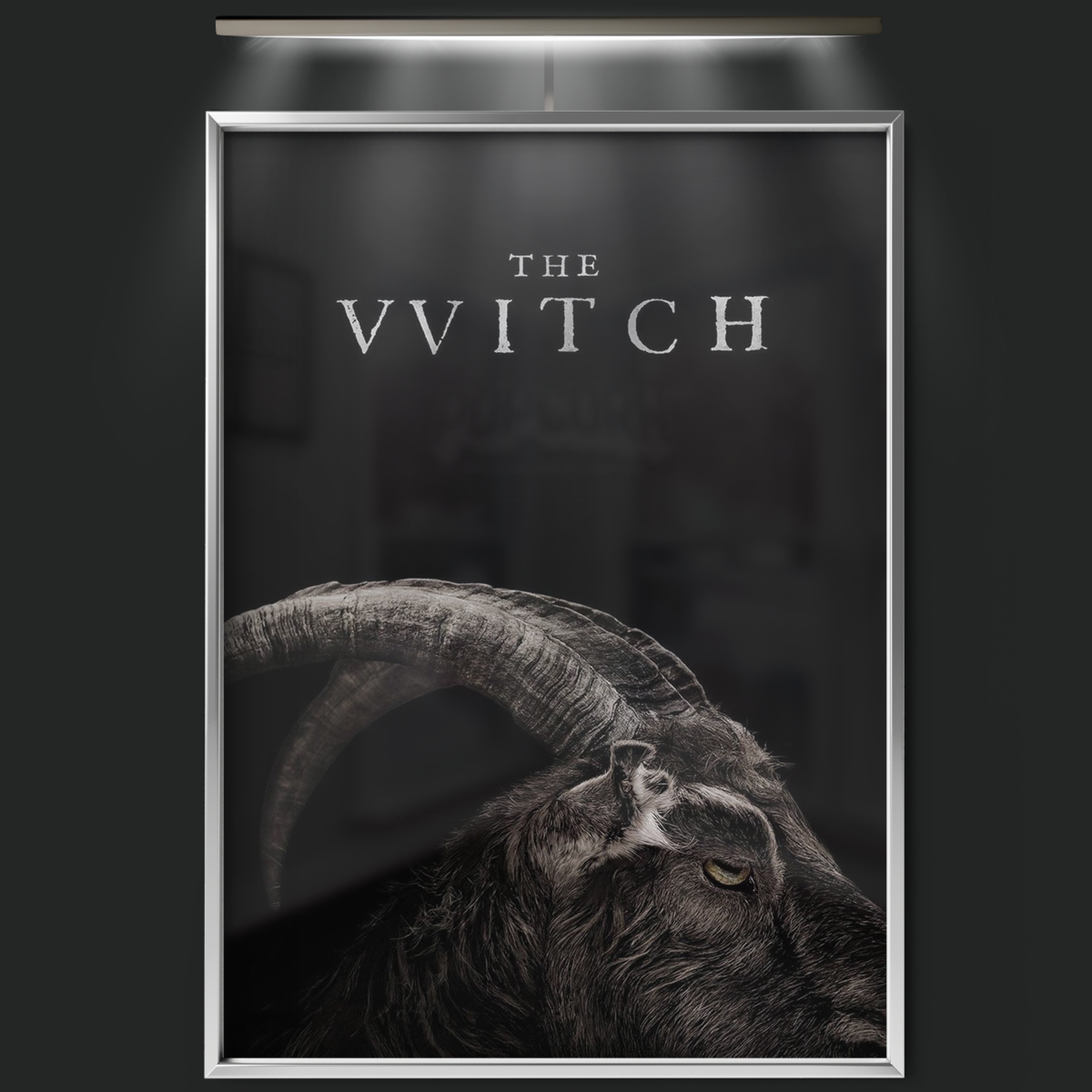 The Witch (2016)