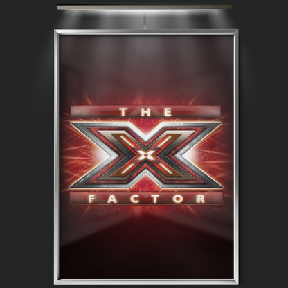 The X Factor (2004)