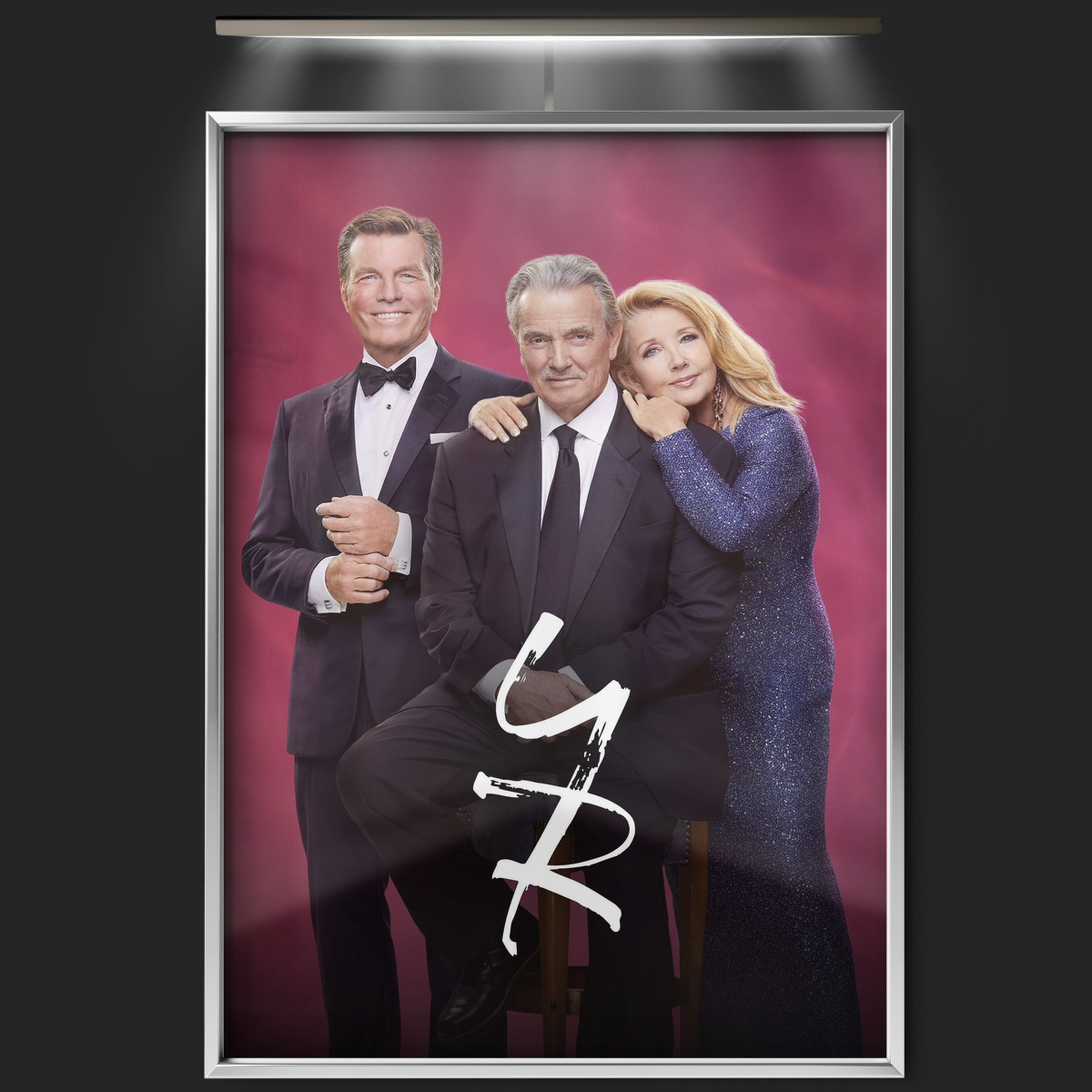 The Young And The Restless (1973)