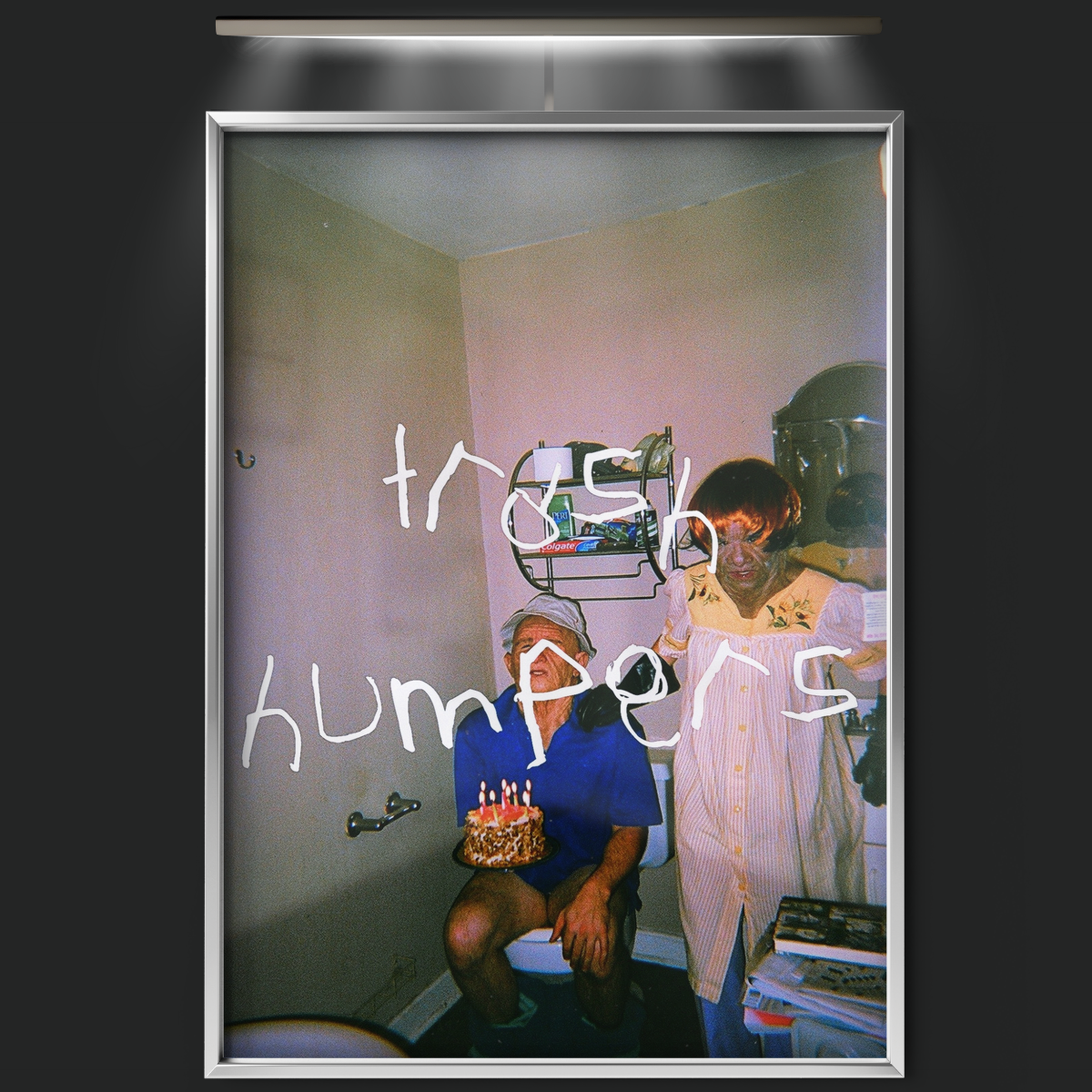 Trash Humpers (2010)