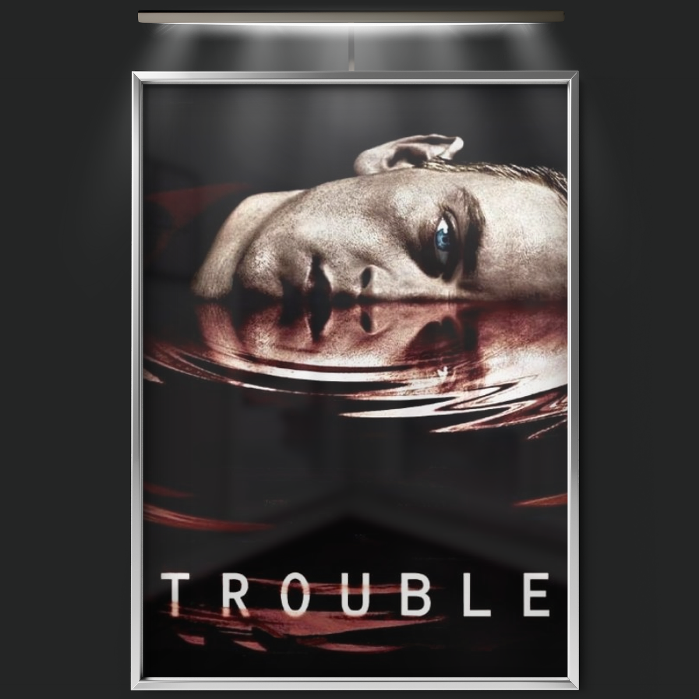 Trouble (2005)