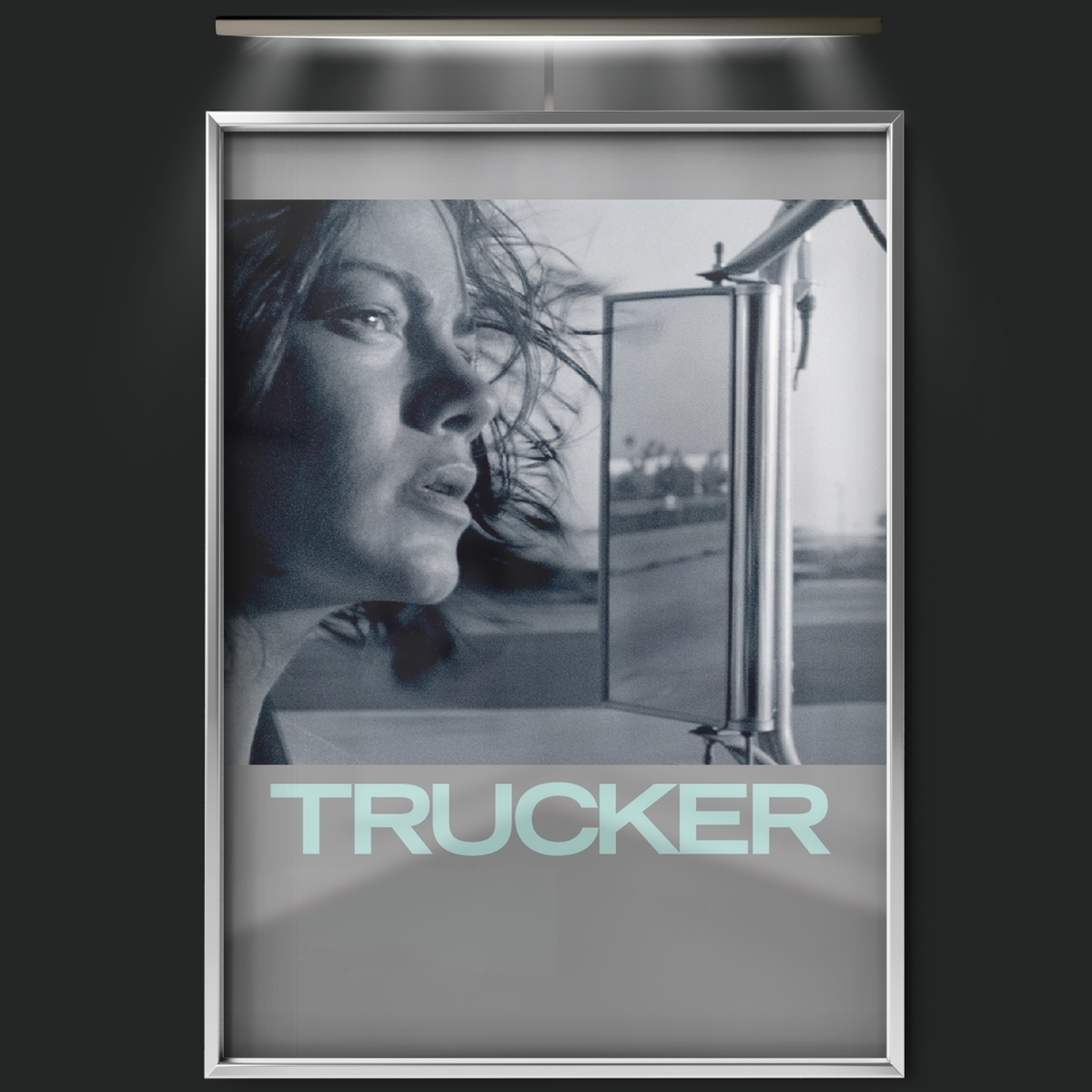 Trucker (2008)