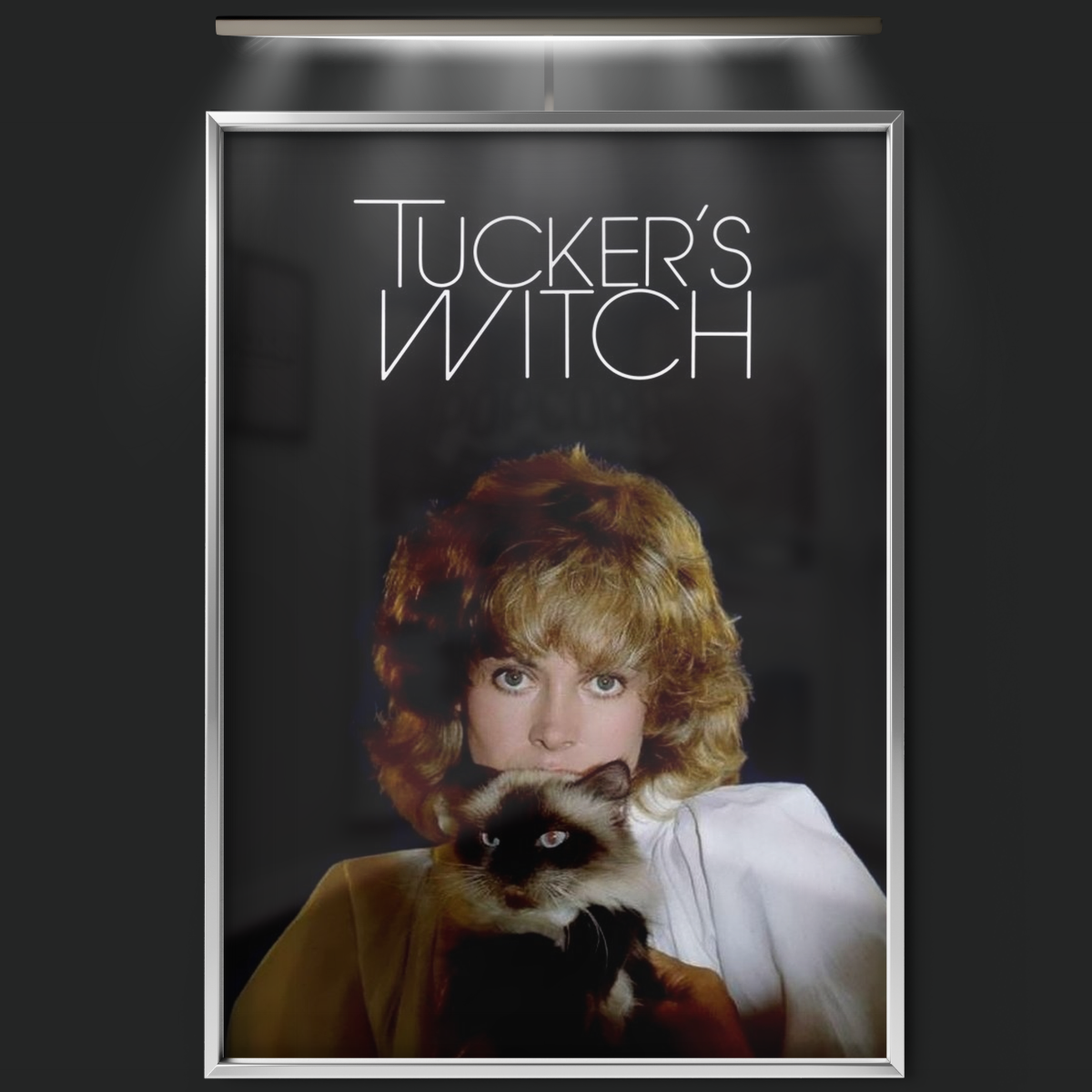 Tucker's Witch (1982)