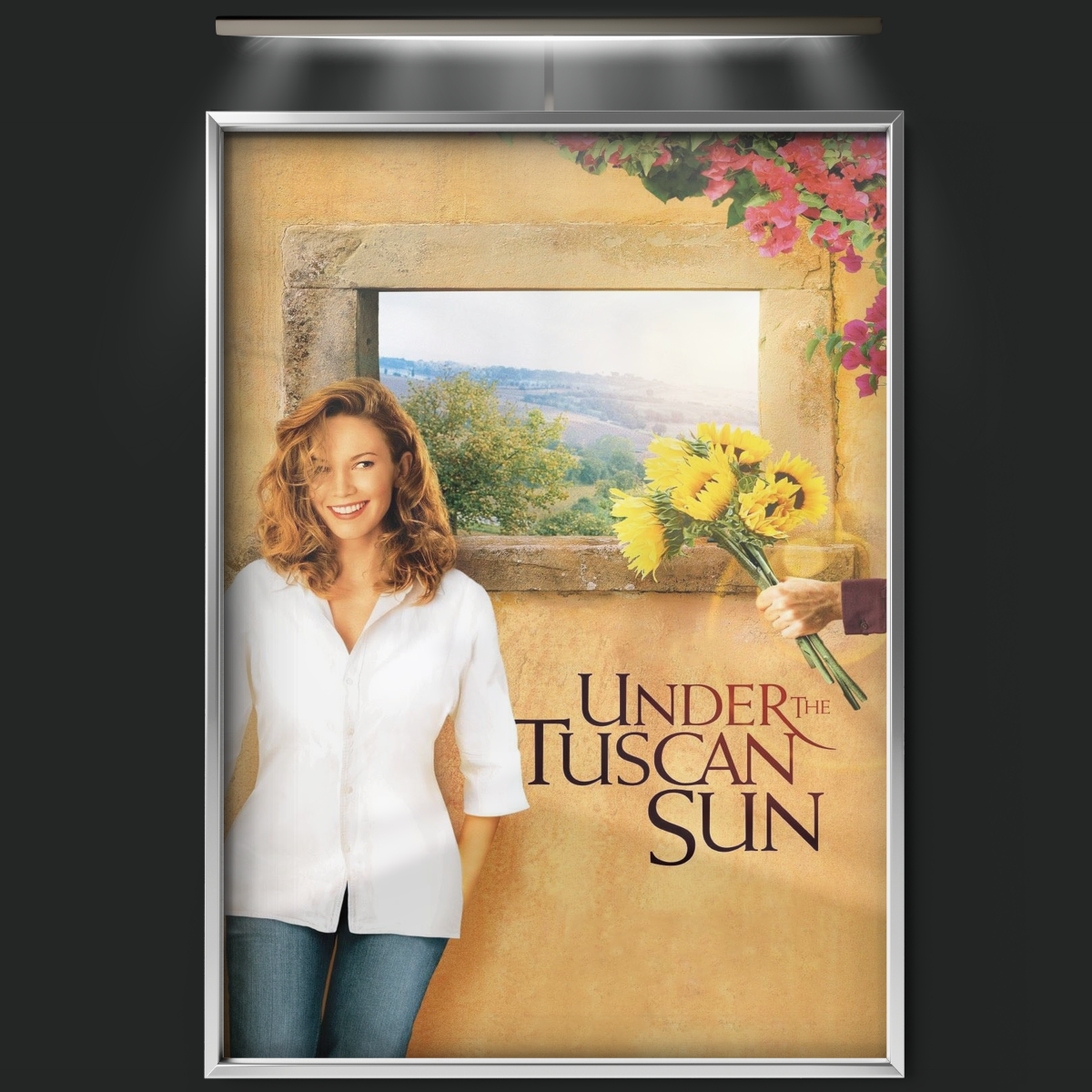 Under The Tuscan Sun (2003)