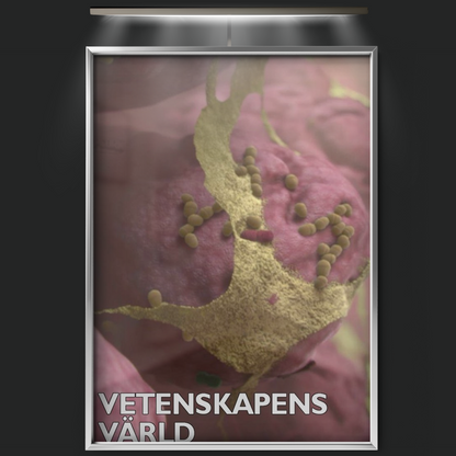 Vetenskapens Värld (1971)