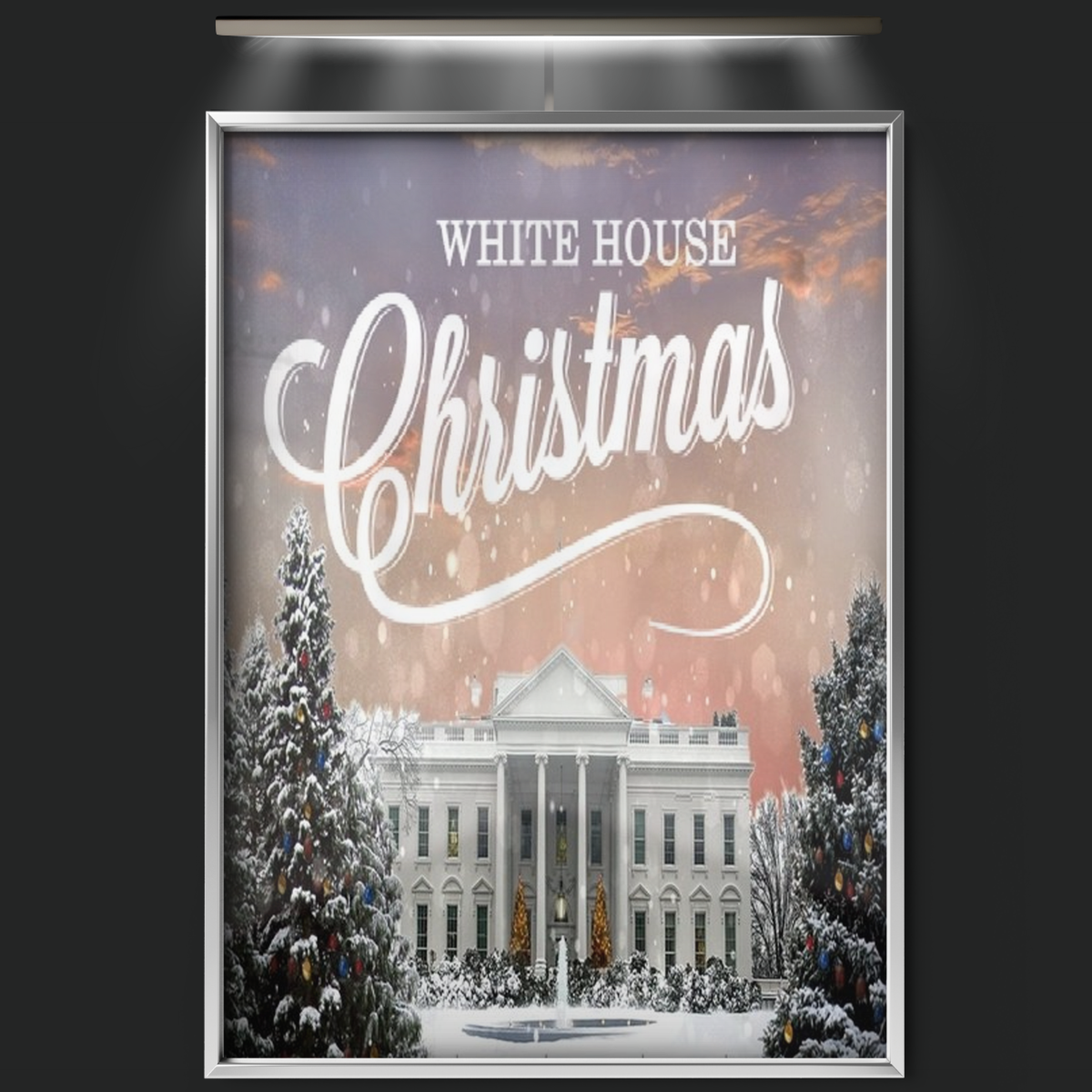 White House Christmas (1998)