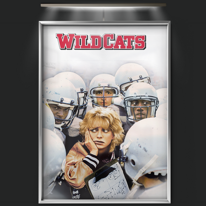 Wildcats (1986)