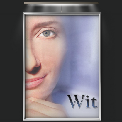 Wit (2001)