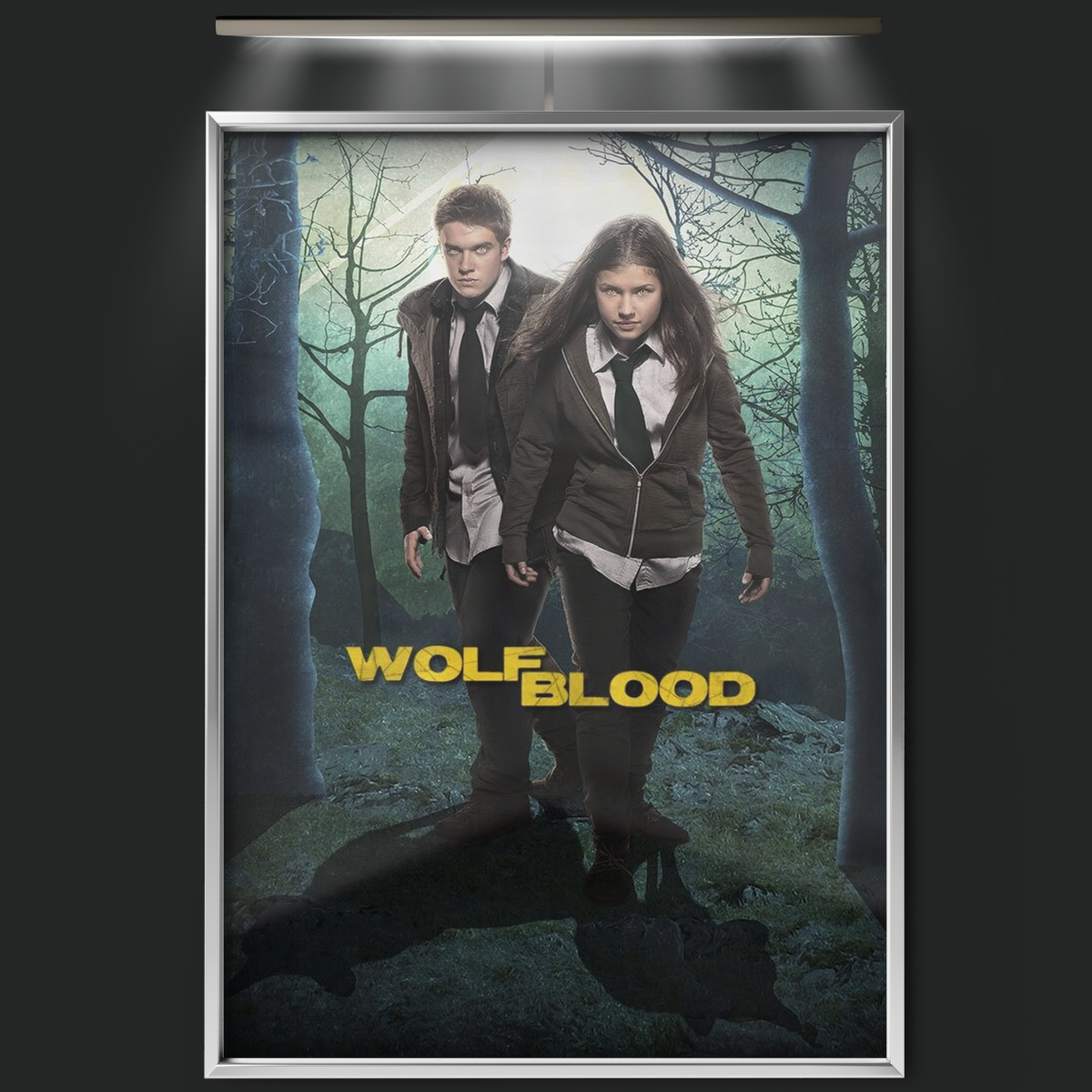 Wolfblood (2012)
