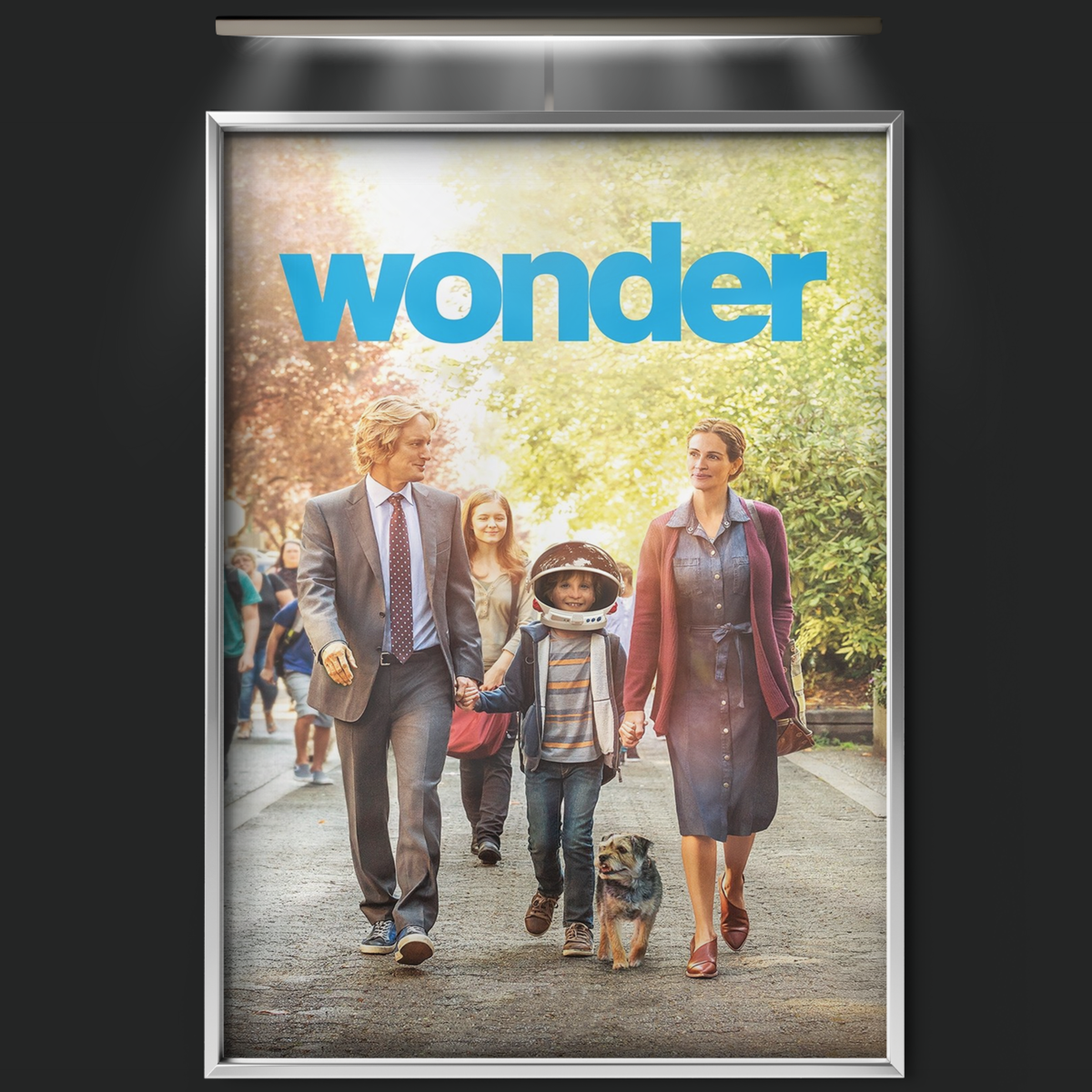 Wonder (2017)