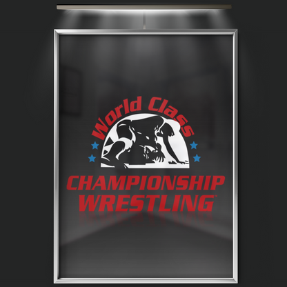 World Class Championship Wrestling (1982)