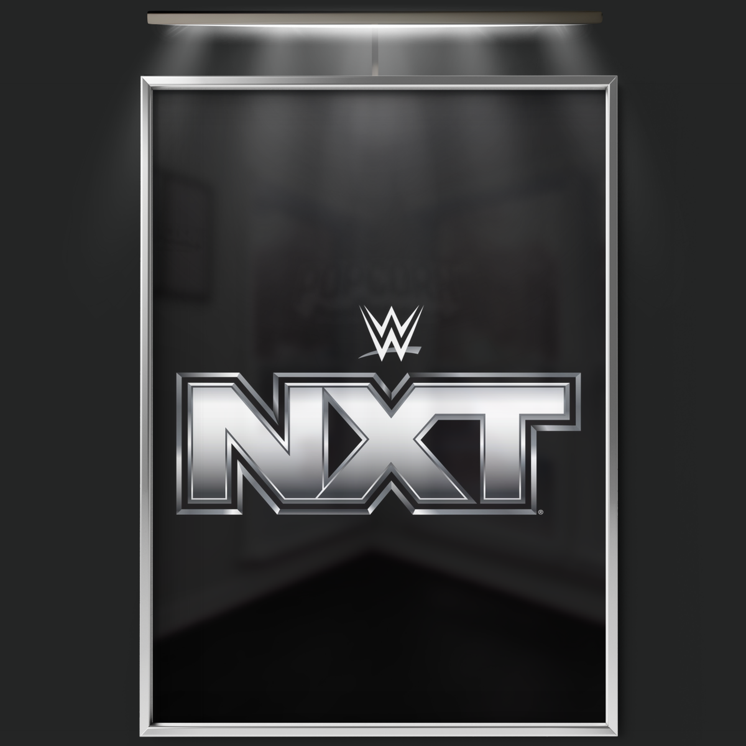 Wwe Nxt (2010)