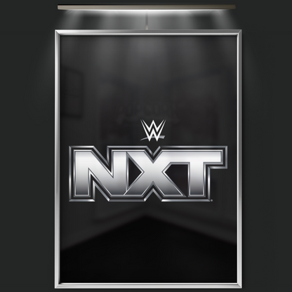Wwe Nxt (2010)