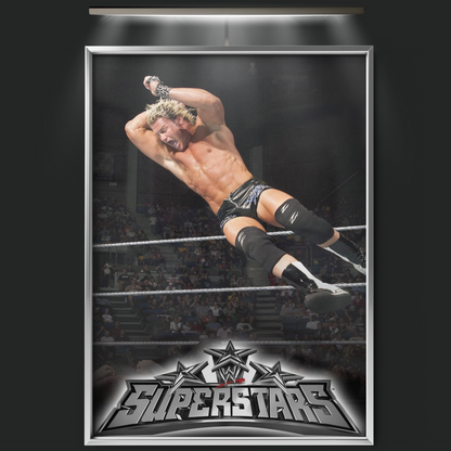 Wwe Superstars (2009)