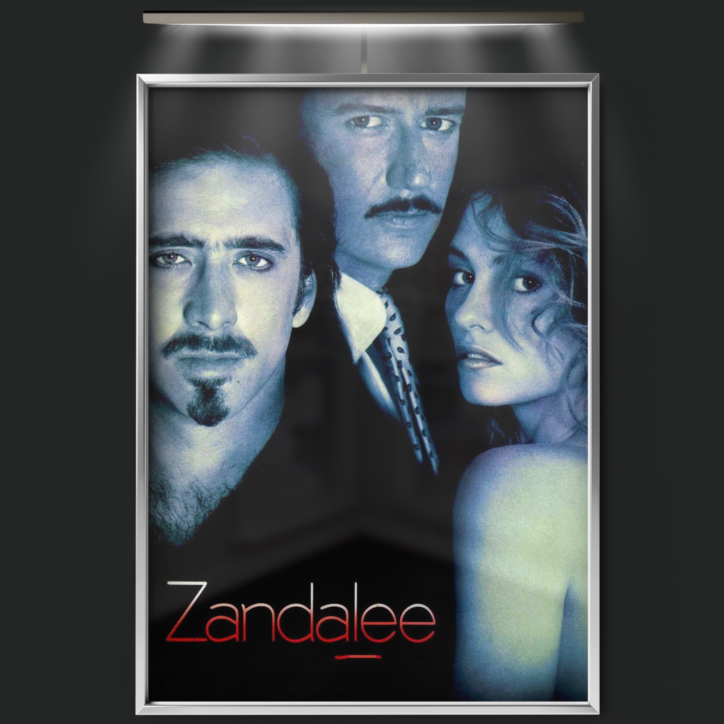 Zandalee (1991)