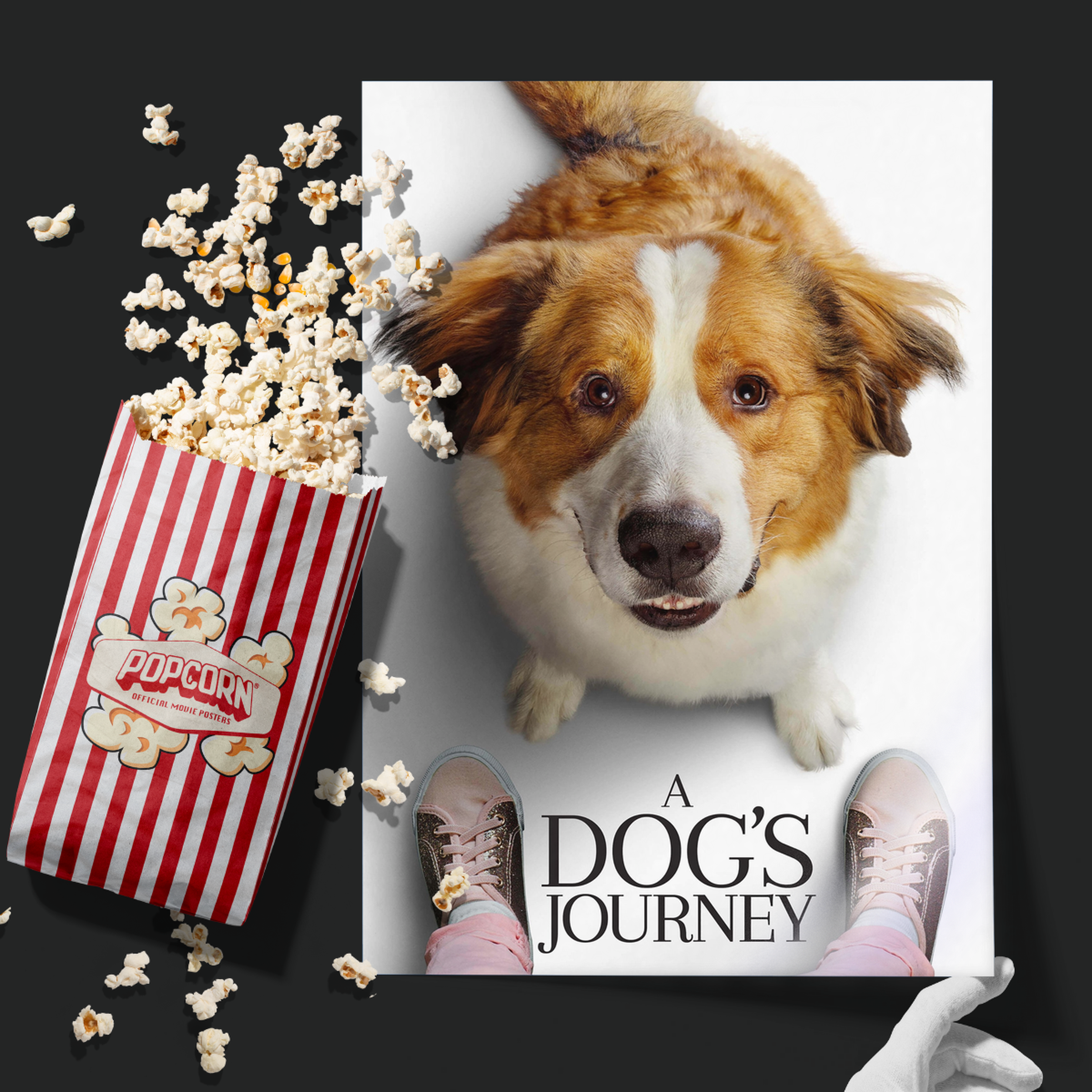 A Dog's Journey (2019)